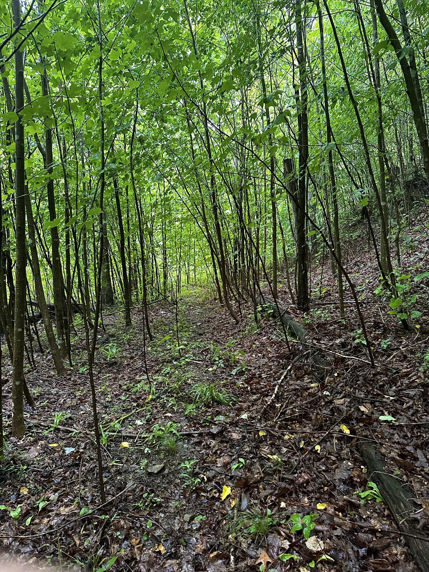 2041 Cat Creek Road Property Photo 1