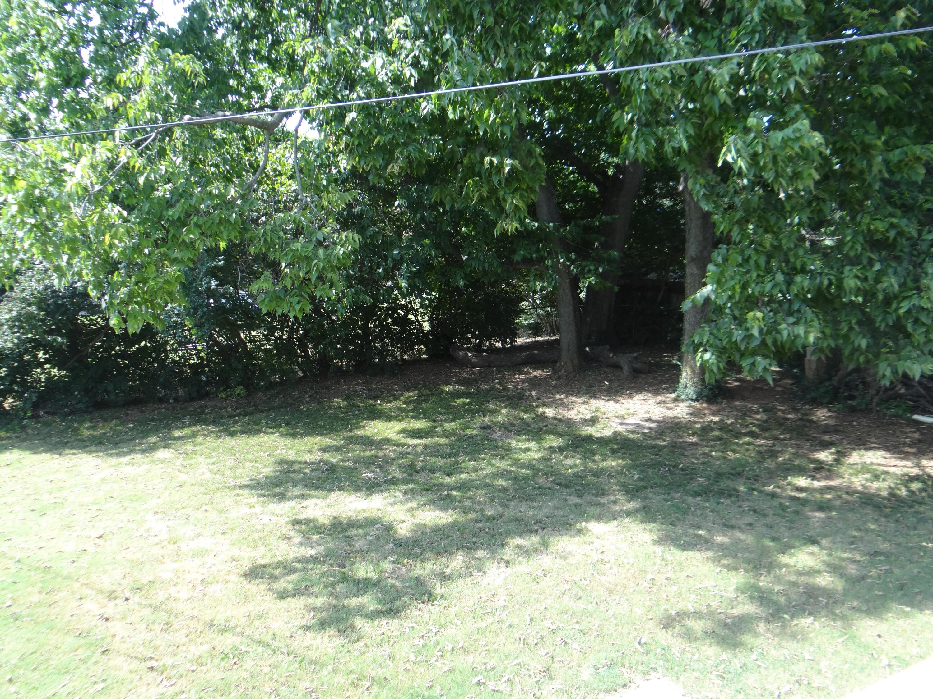 1928 Mint Julep Lane Property Photo 24