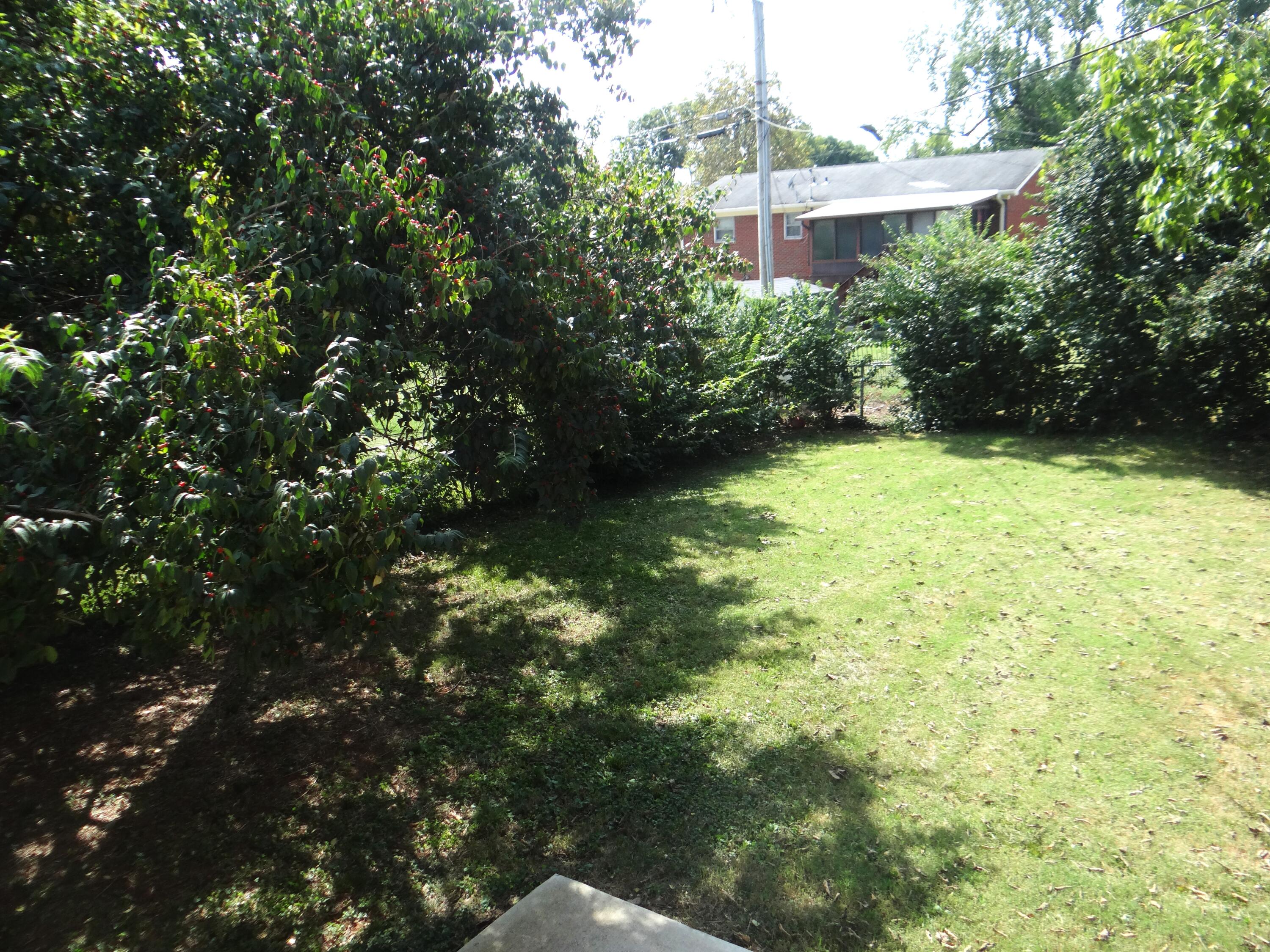 1928 Mint Julep Lane Property Photo 25