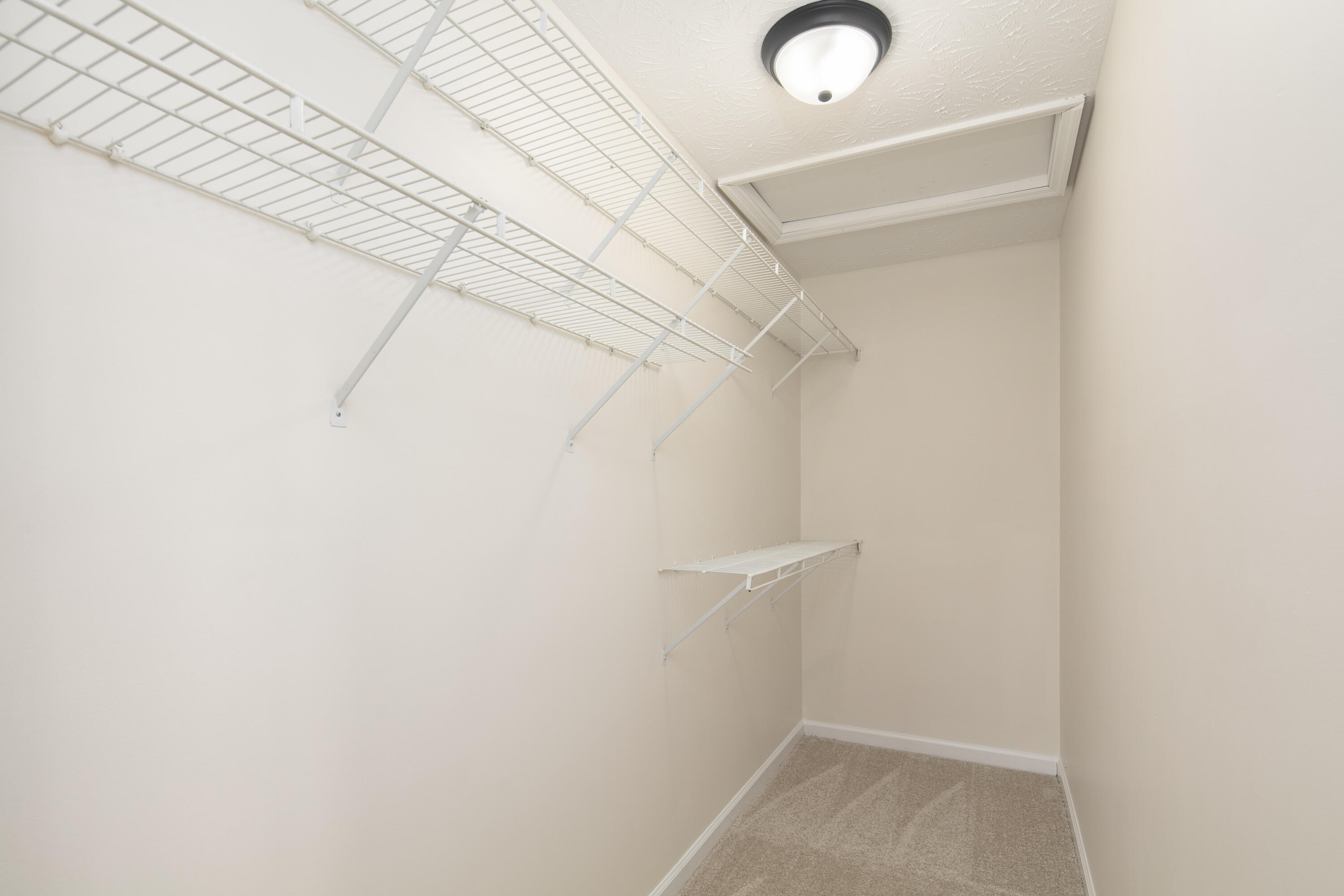 329 Shadow Glen Court Property Photo 17