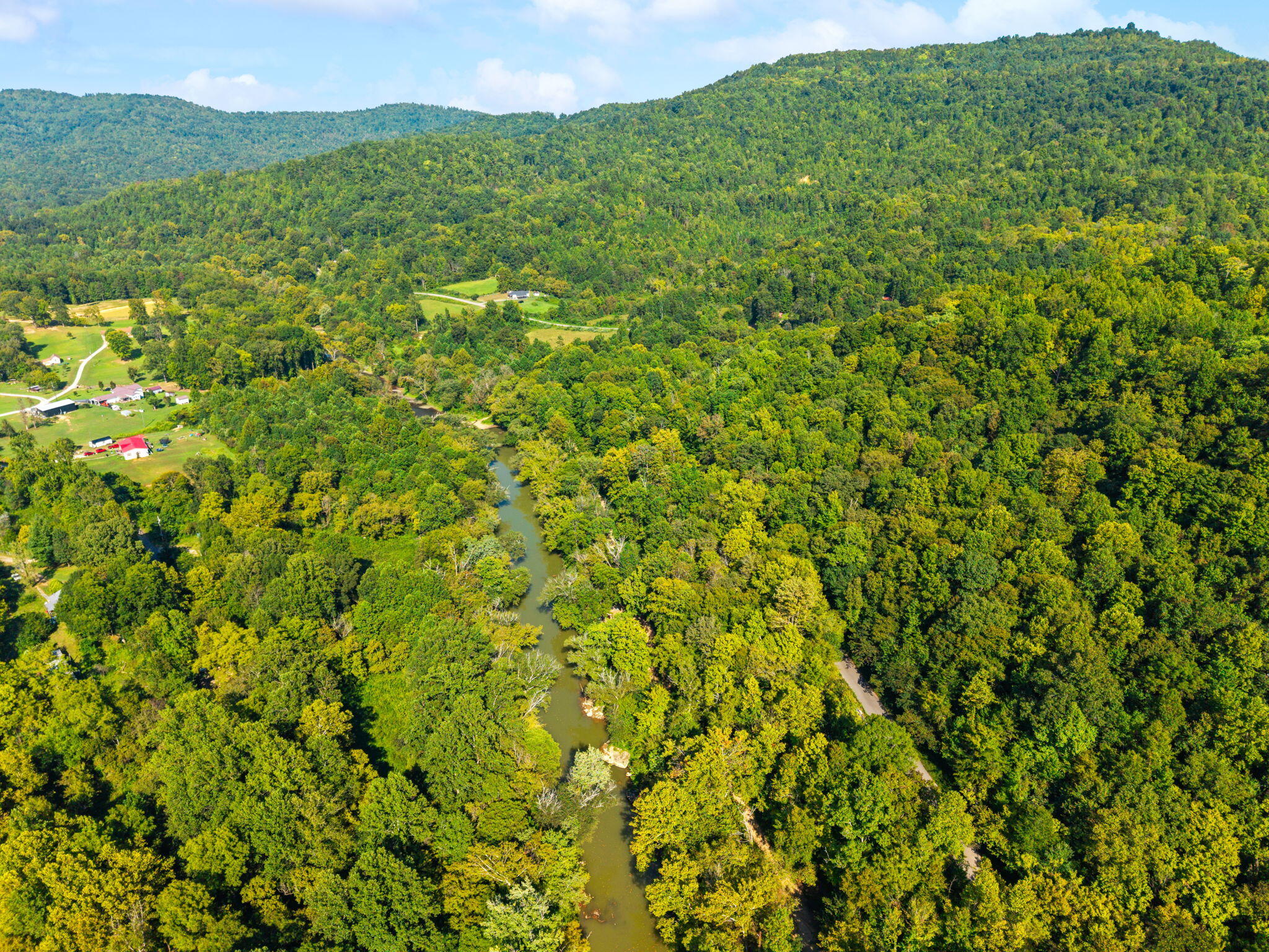0 Old Mountain Ash Pike Property Photo 4