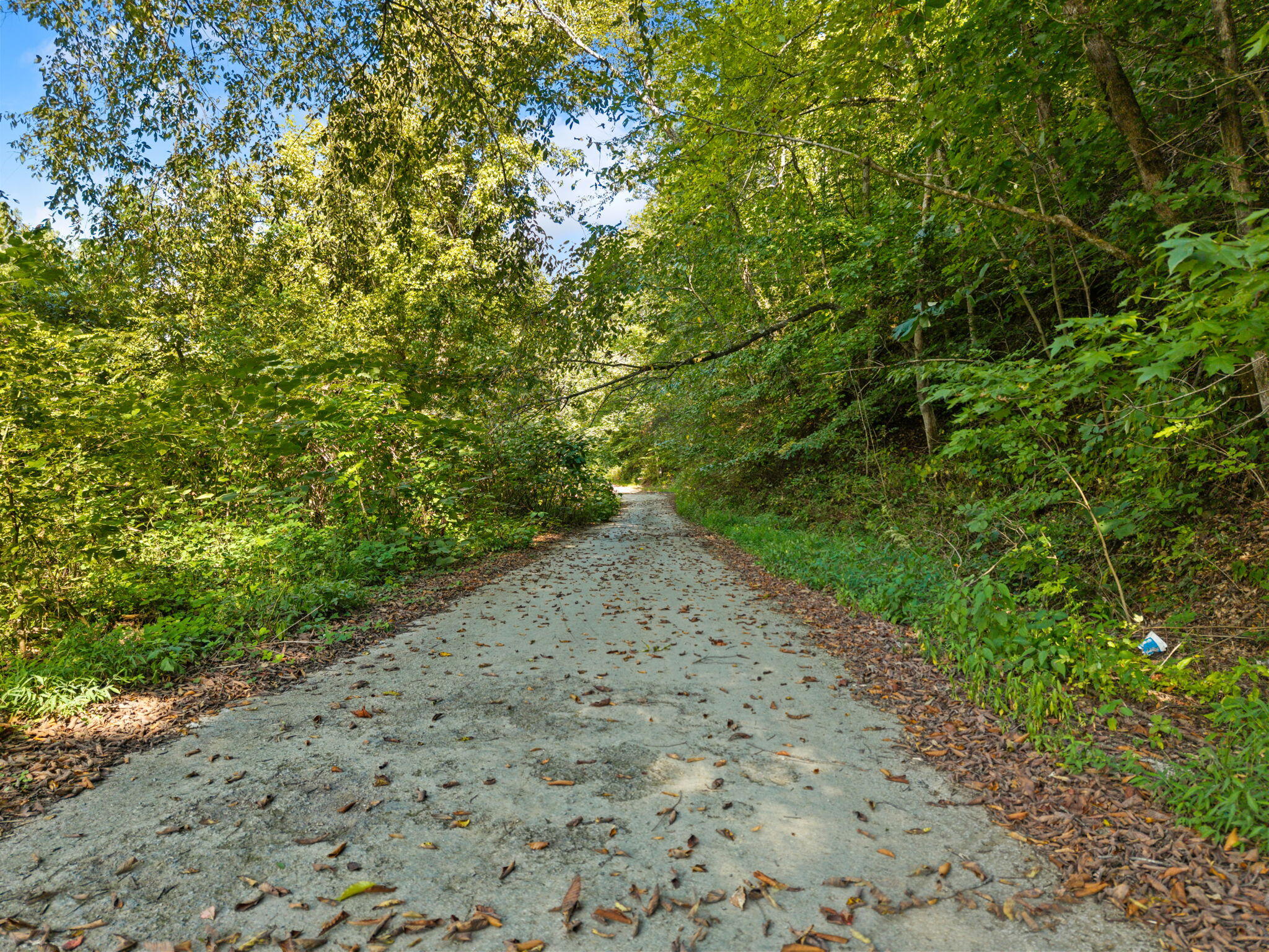 0 Old Mountain Ash Pike Property Photo 11