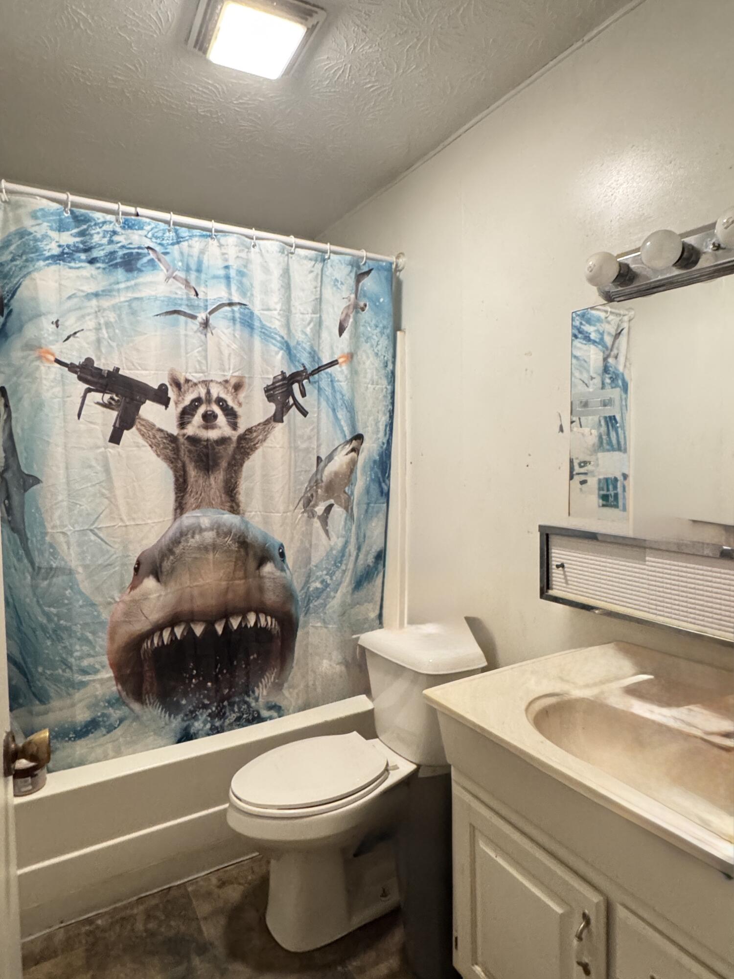 4091 Bee Creek Road Property Photo 12
