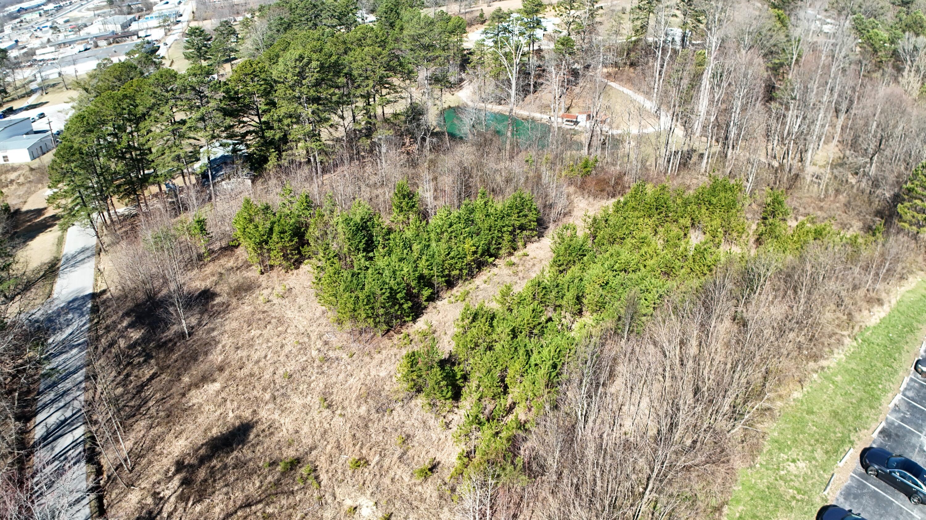 448 N Hills Road Property Photo 11