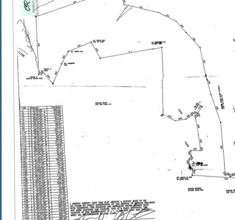 99 Cabin Creek Road Drive Property Photo 2