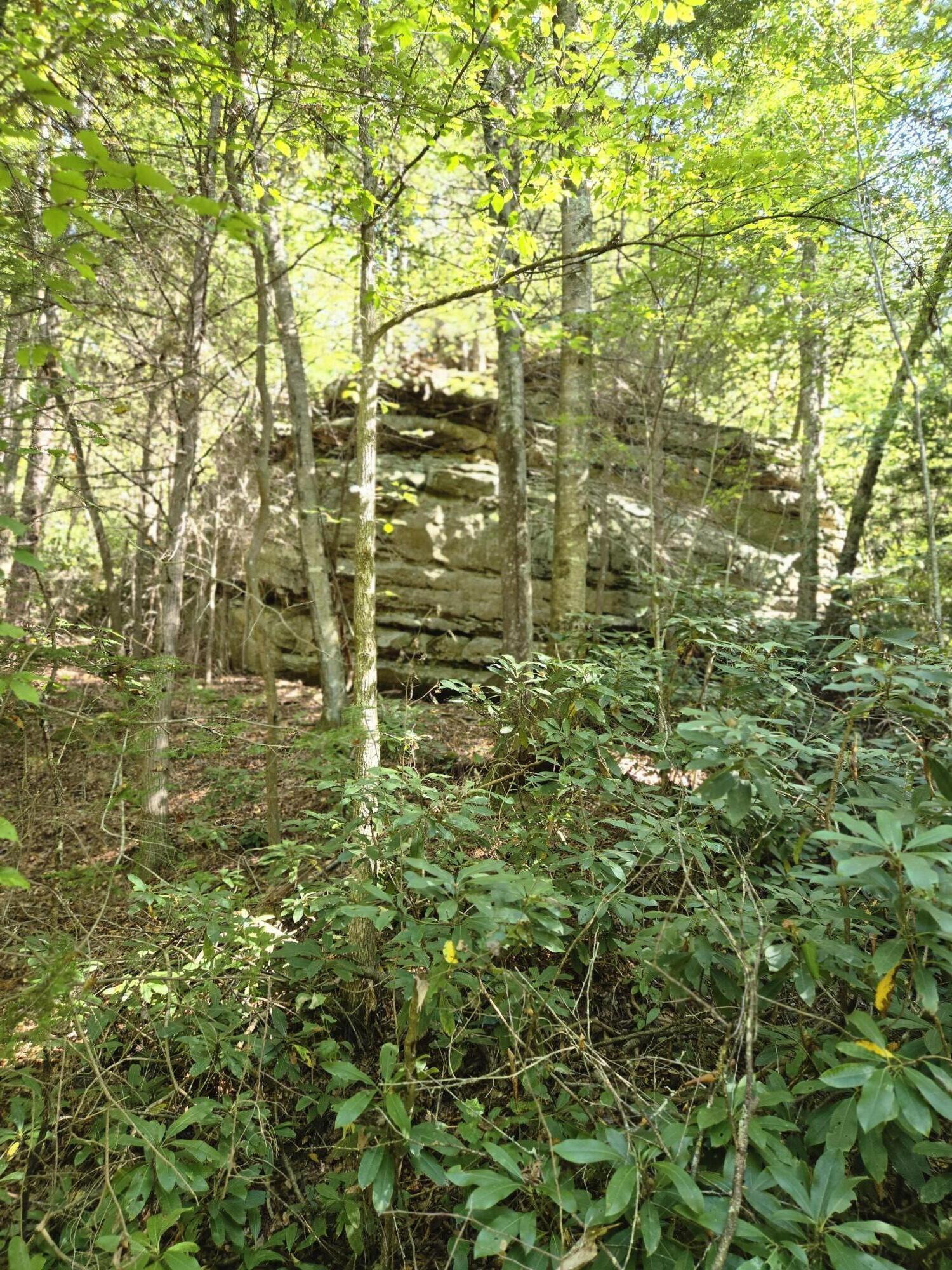 99 Cabin Creek Road Drive Property Photo 28