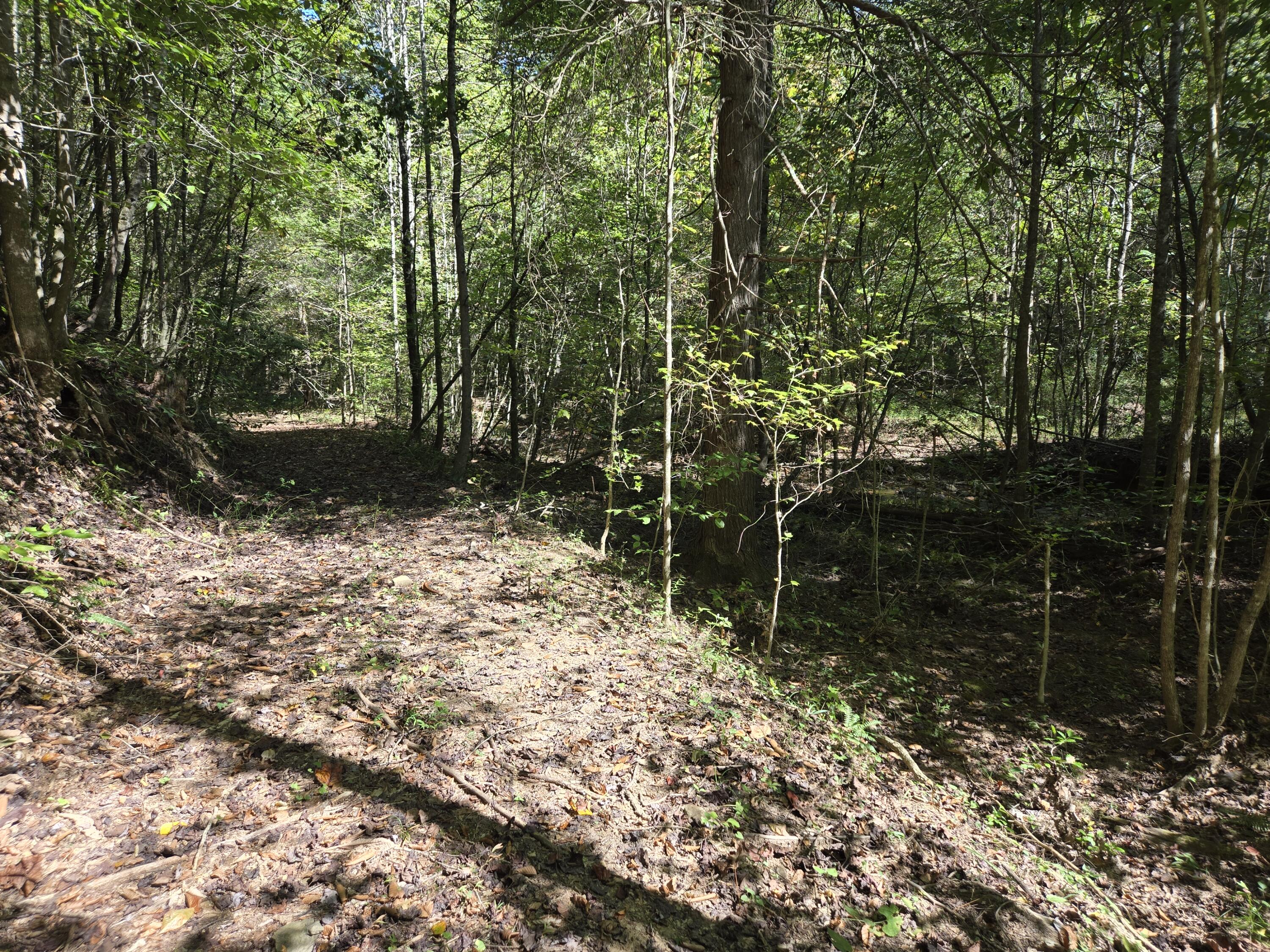 99 Cabin Creek Road Drive Property Photo 33