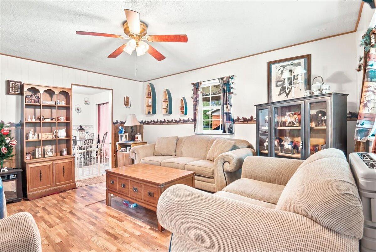 153 Rains Street Property Photo 5