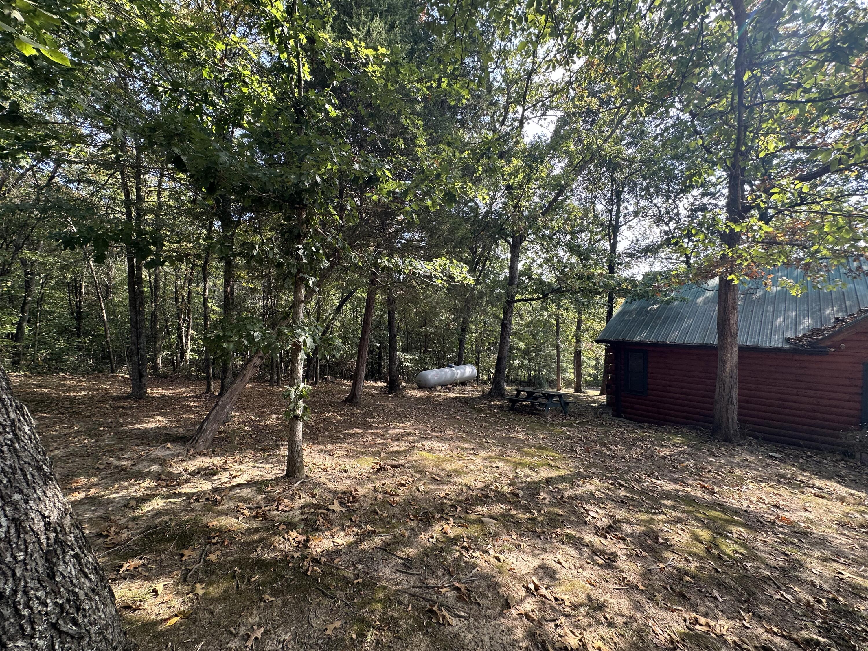 331 Mcintosh Road Property Photo 18