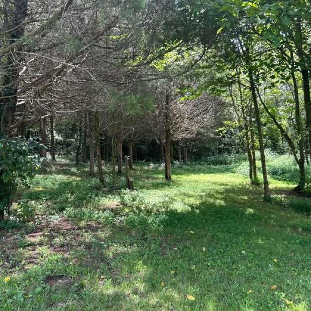 963 Sugar Valley Road Property Photo 5