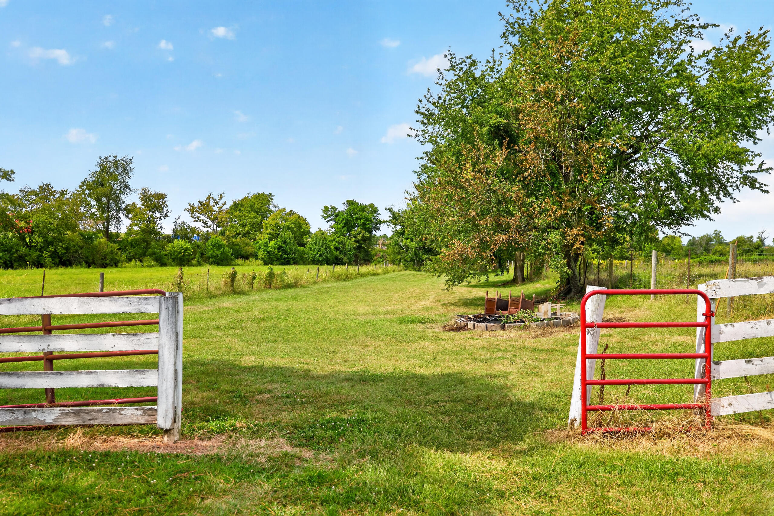 1115 Jessamine Station Road Property Photo 4