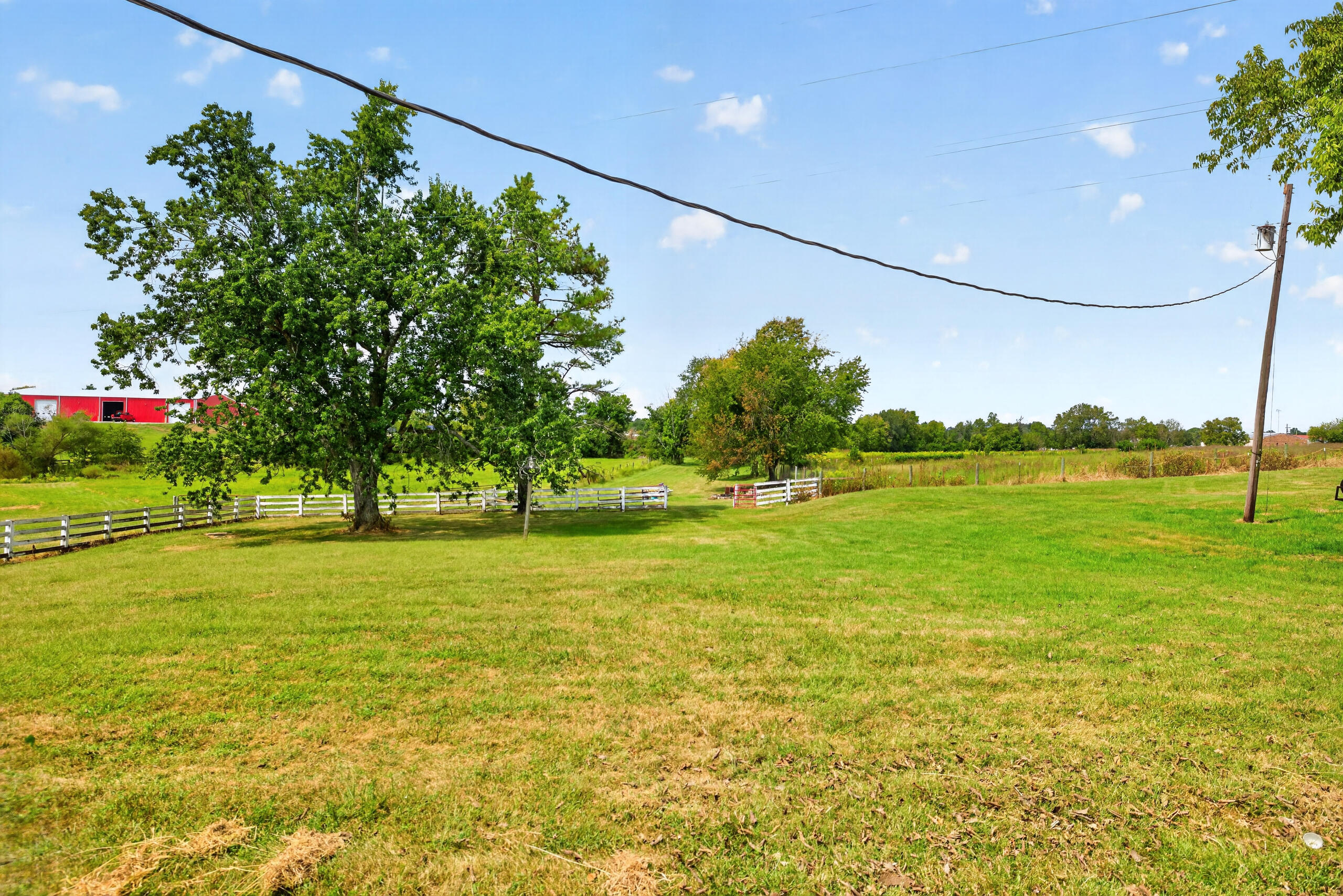 1115 Jessamine Station Road Property Photo 38