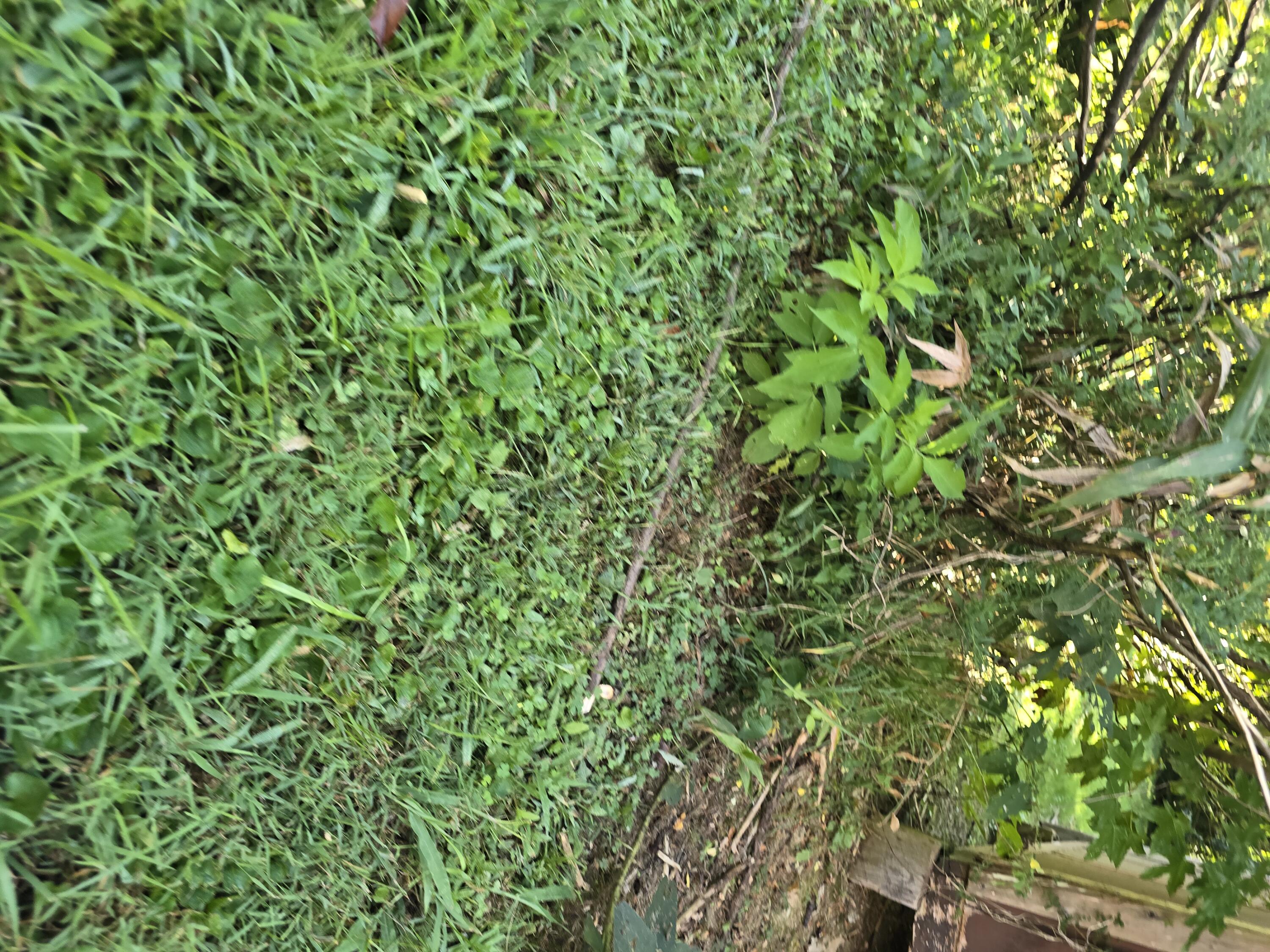 18870 Highway 190 Property Photo 12