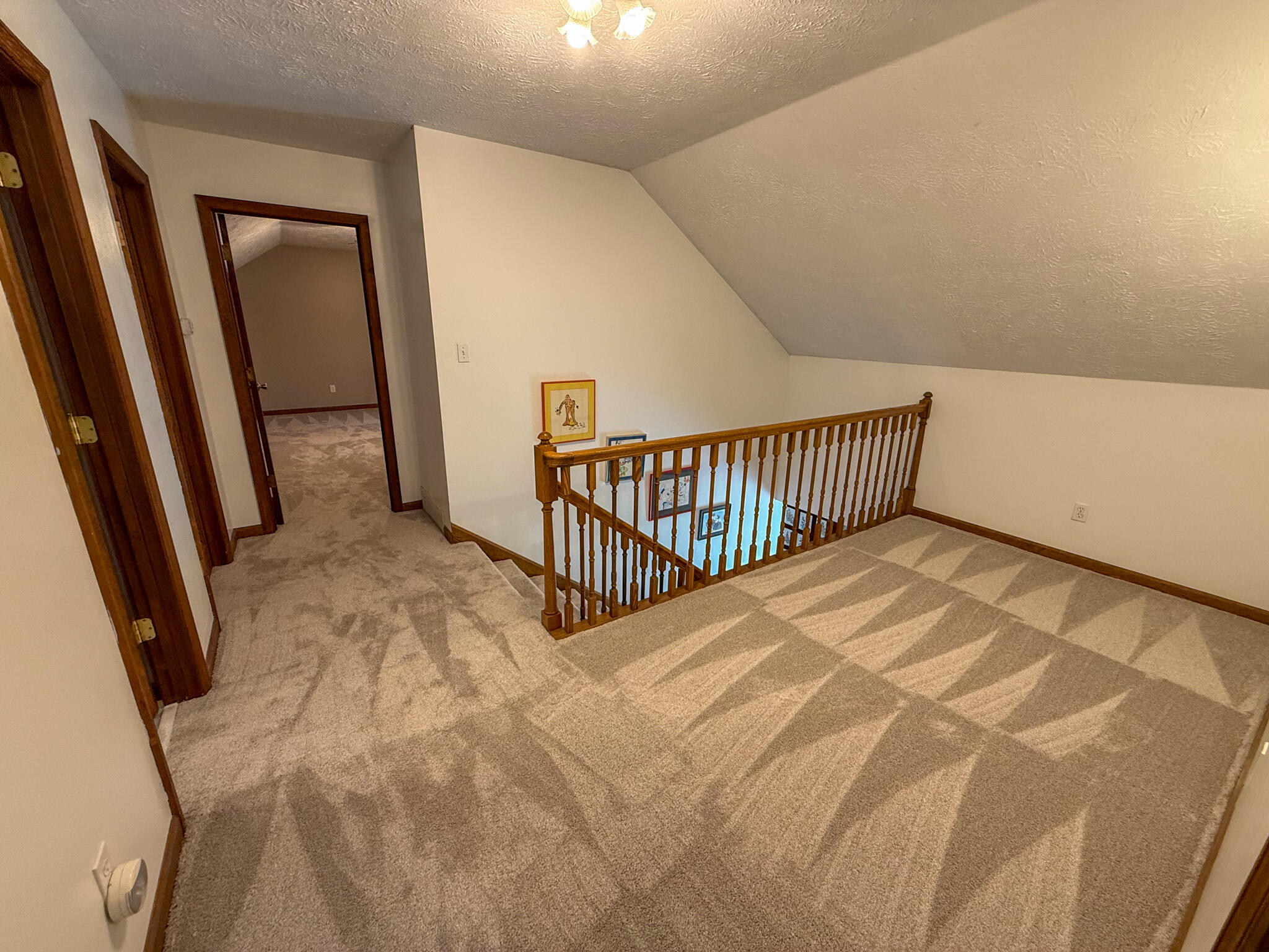 248 Sulphur Lick Road Property Photo 26