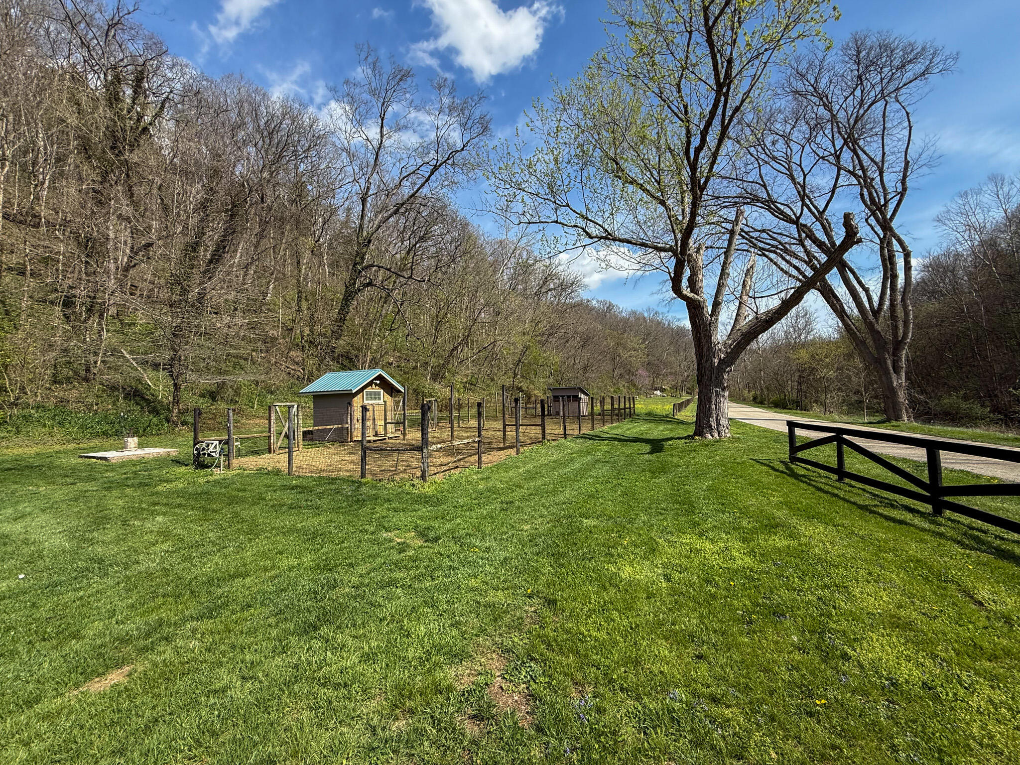 248 Sulphur Lick Road Property Photo 33