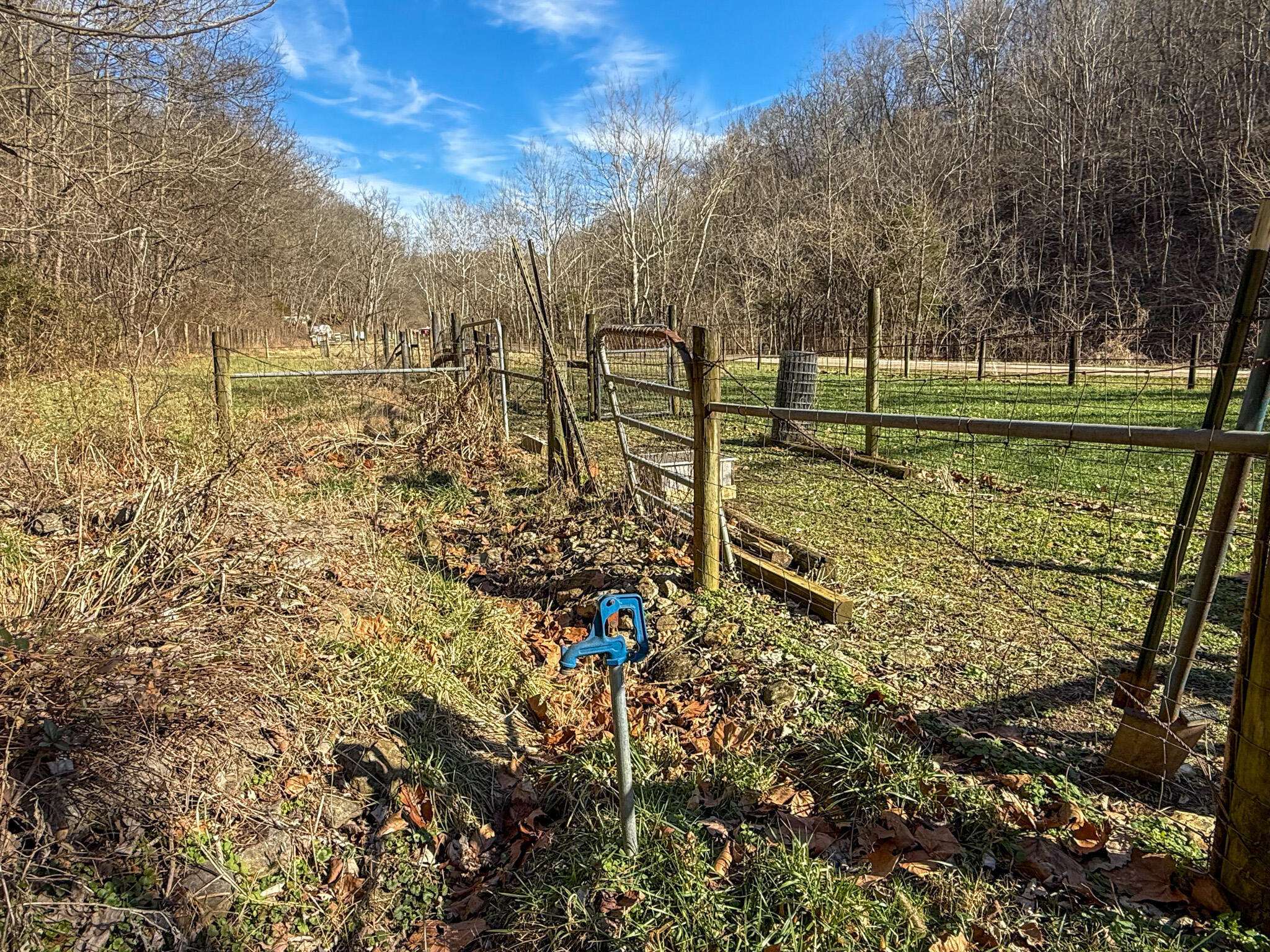 248 Sulphur Lick Road Property Photo 35