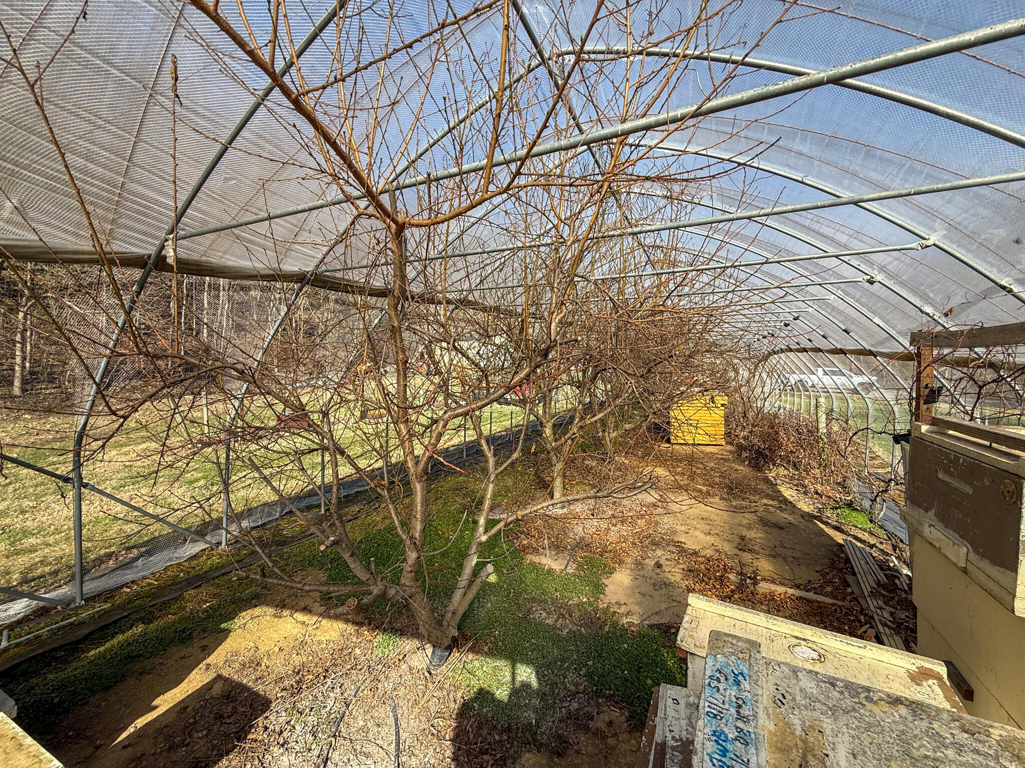 248 Sulphur Lick Road Property Photo 36