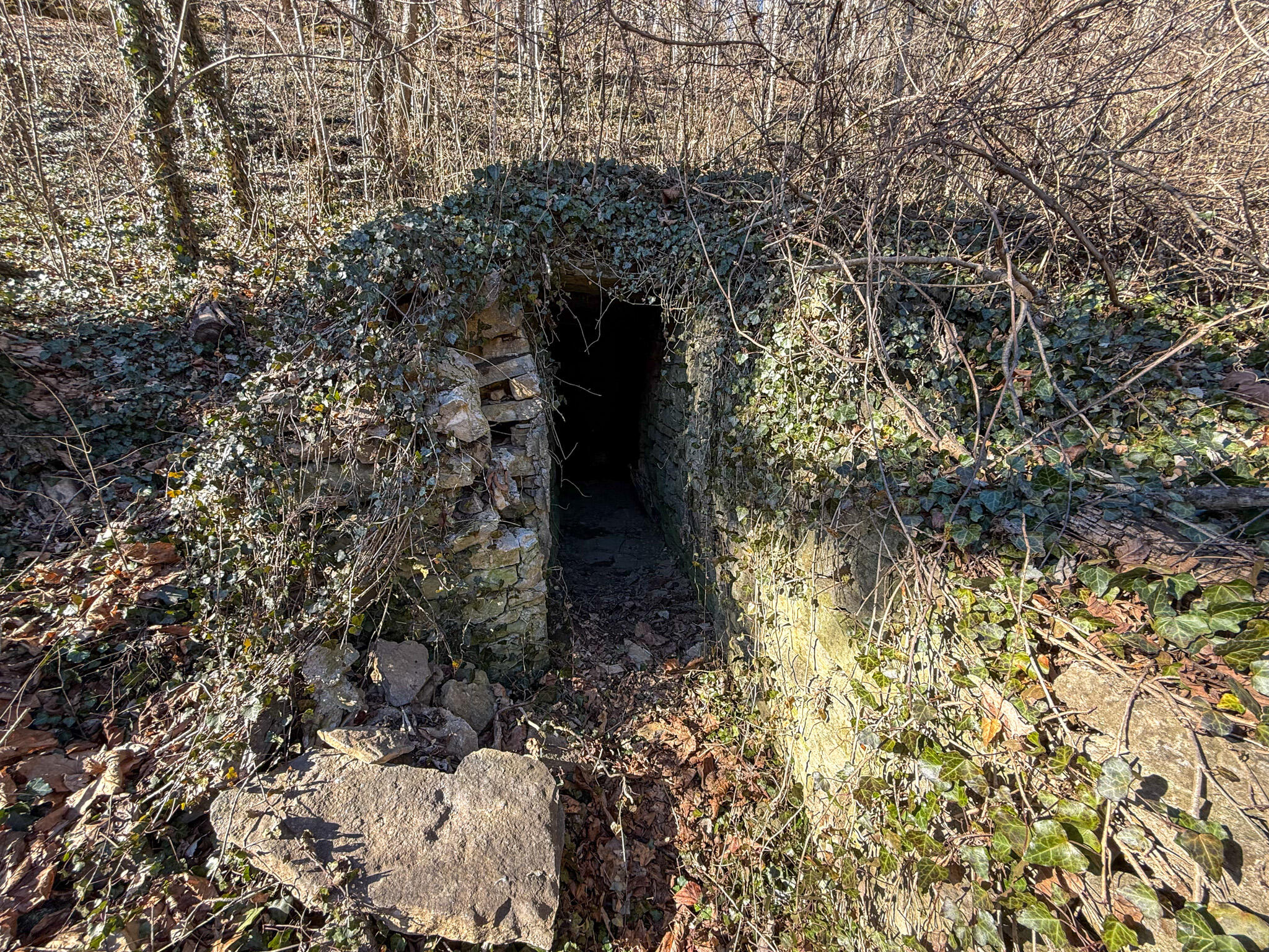 248 Sulphur Lick Road Property Photo 40