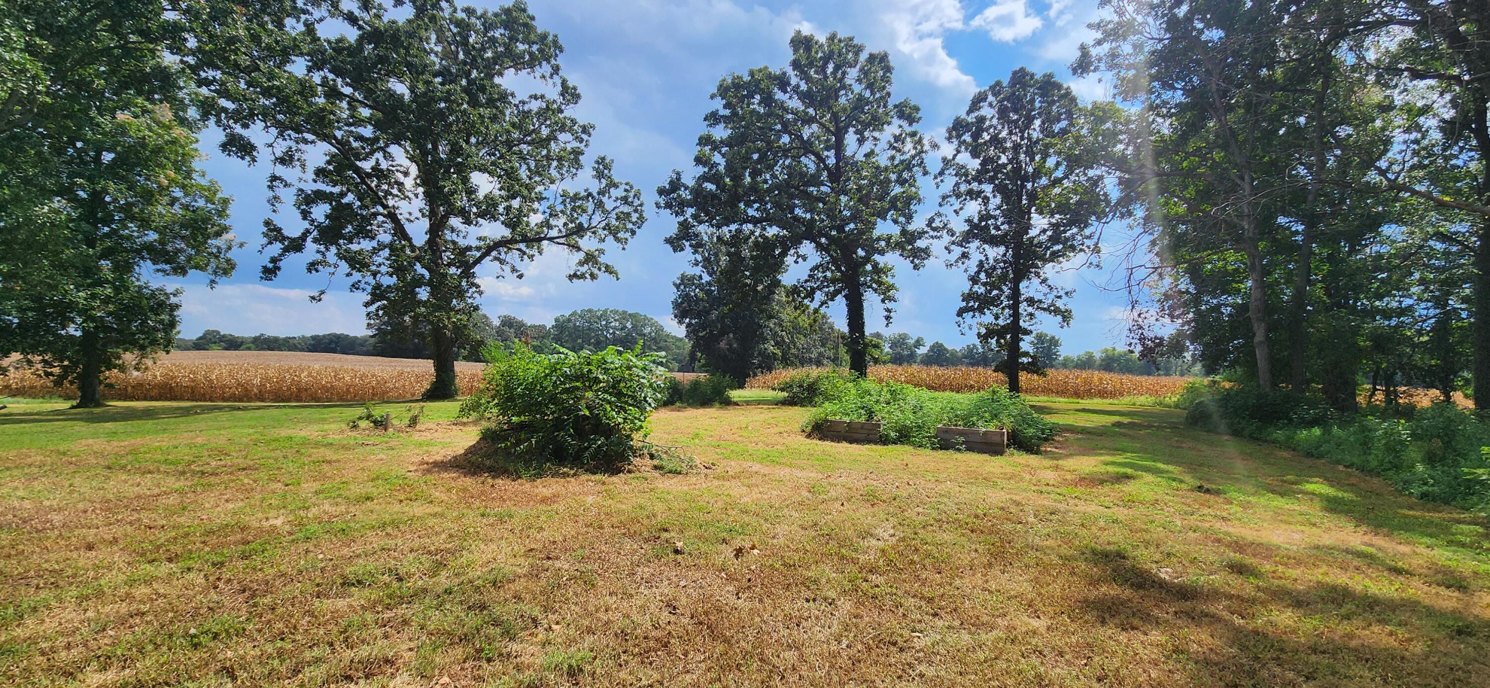 8479 Ky-94 Property Photo 50