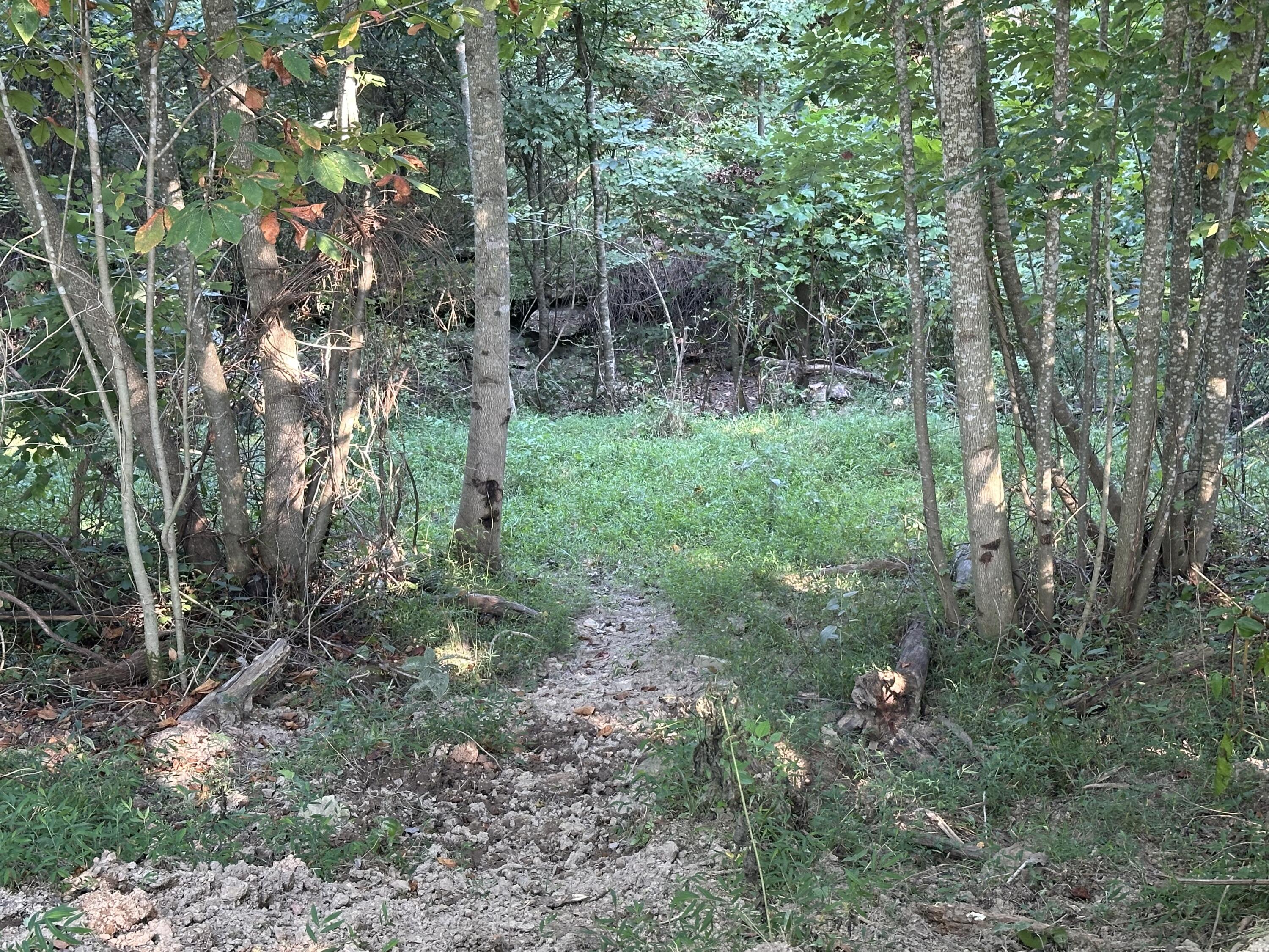 698 Ben Thompson Road Property Photo 43