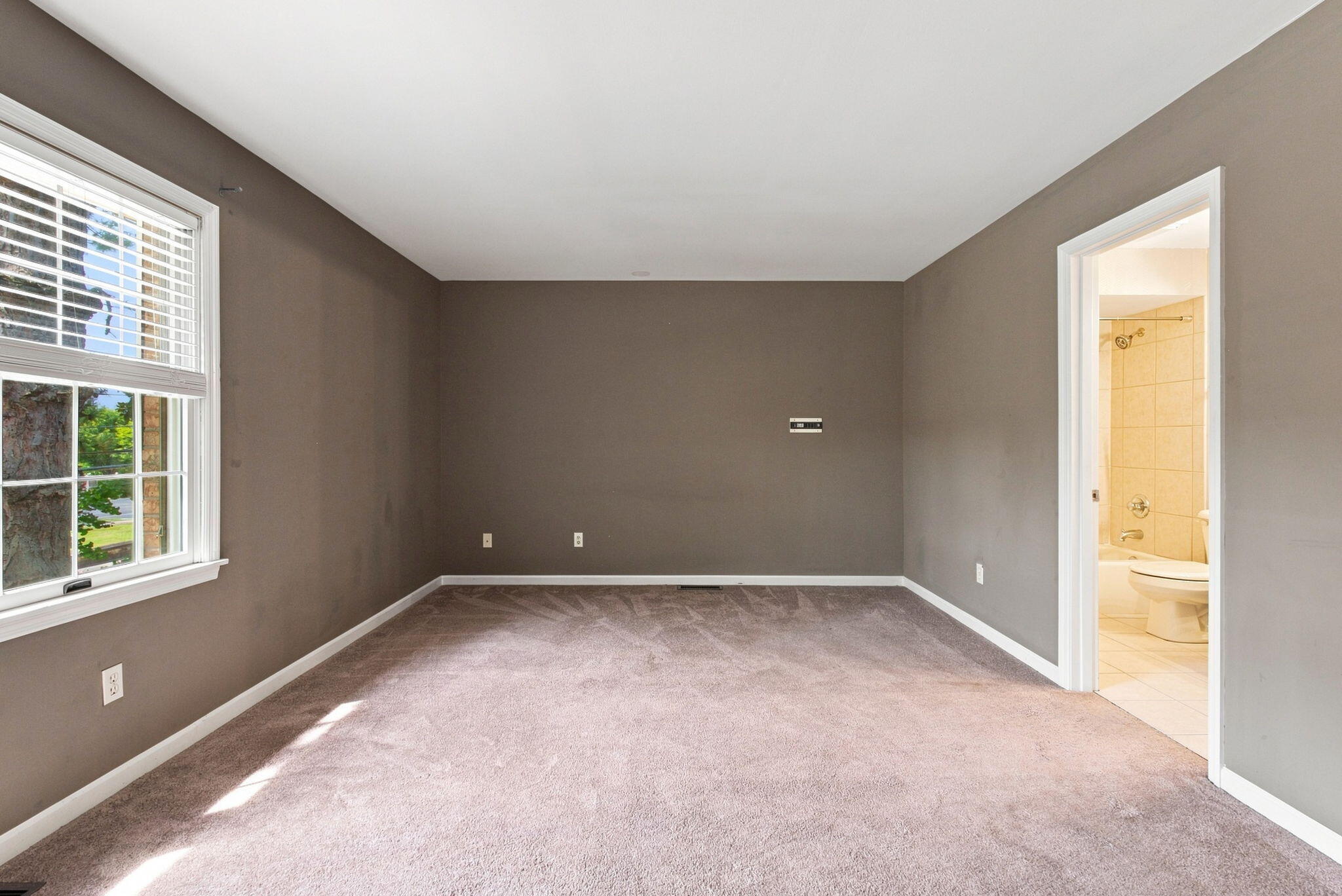 541 W Short Street 3 Property Photo 21