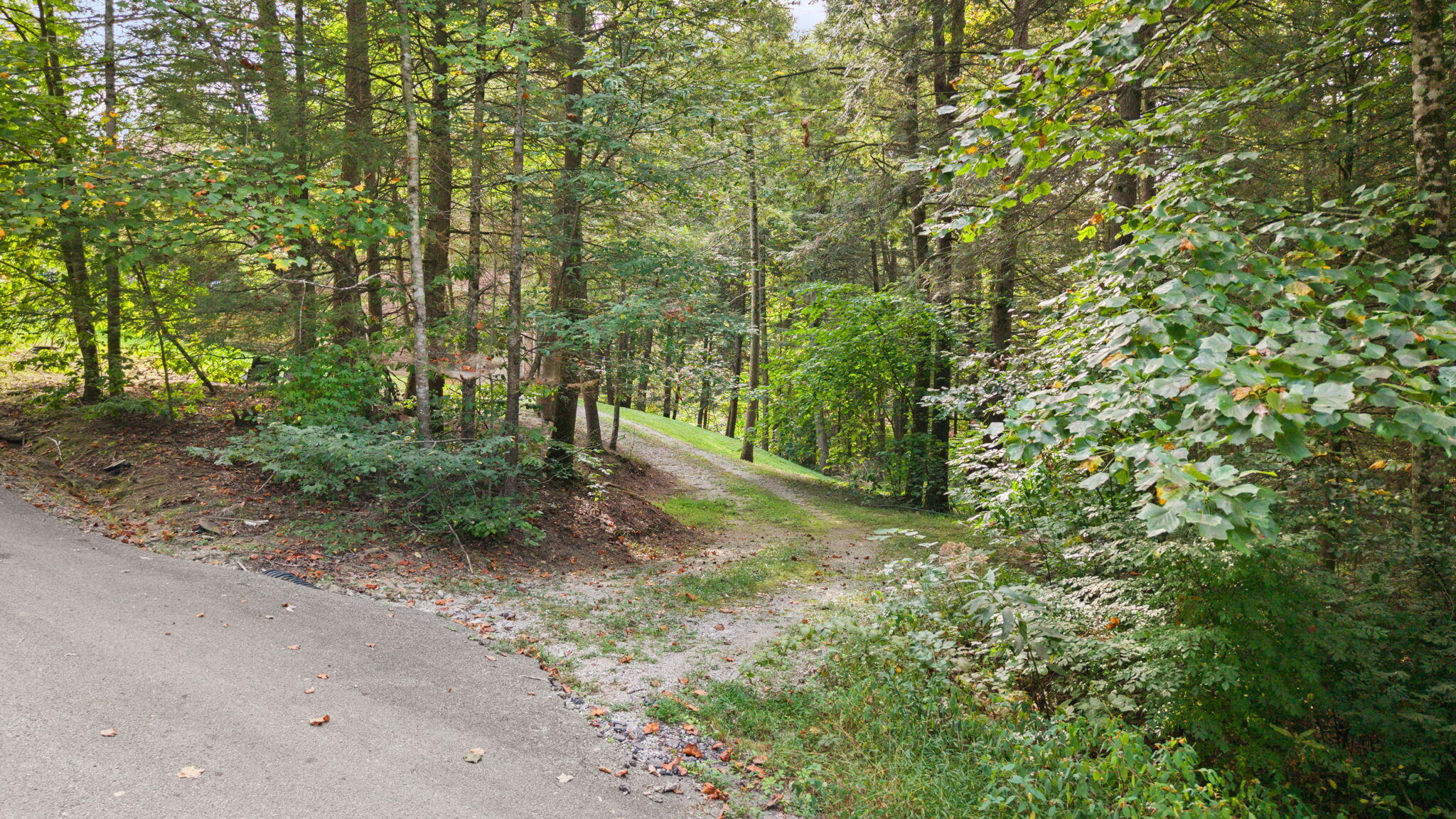 139 Briar Lane Property Photo 88