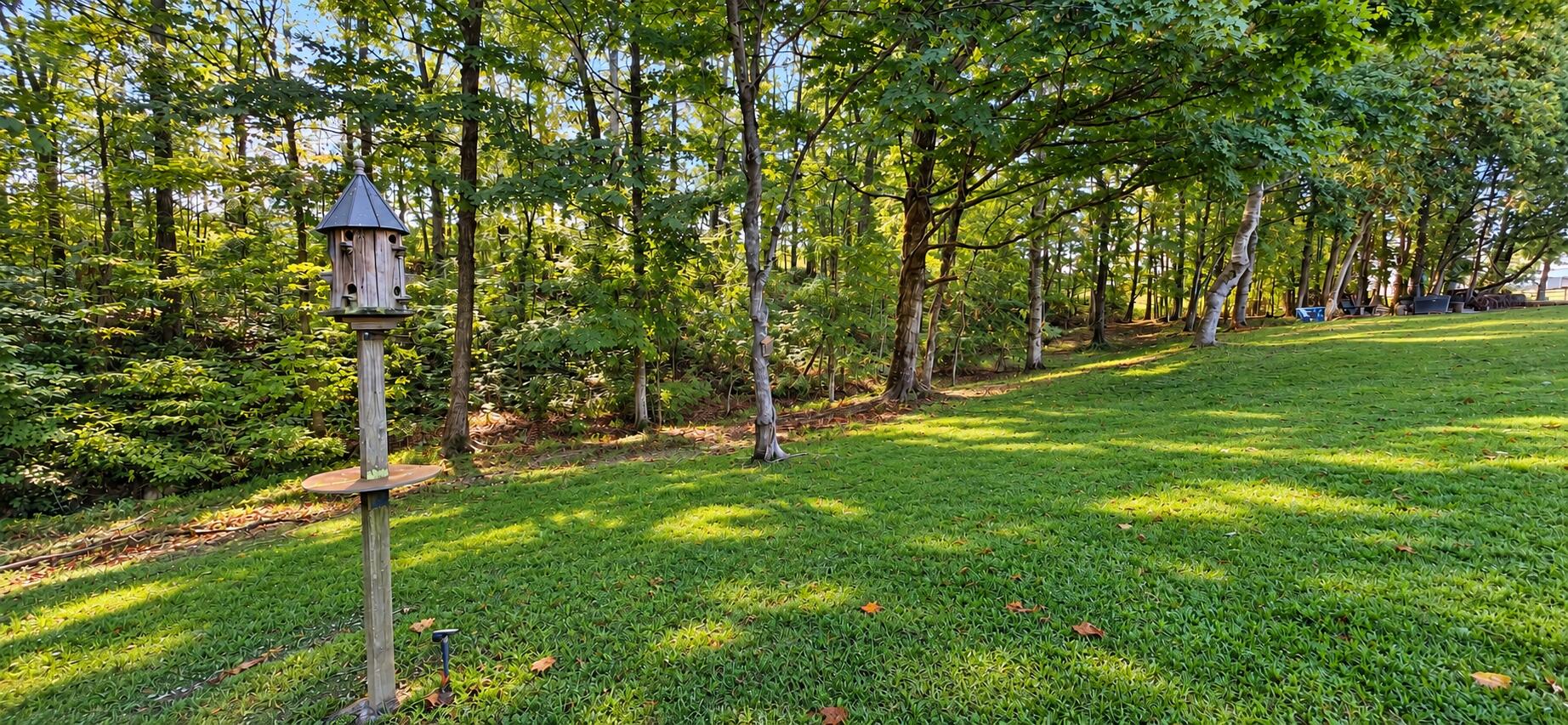 90 Little Lisa Lane Property Photo 6