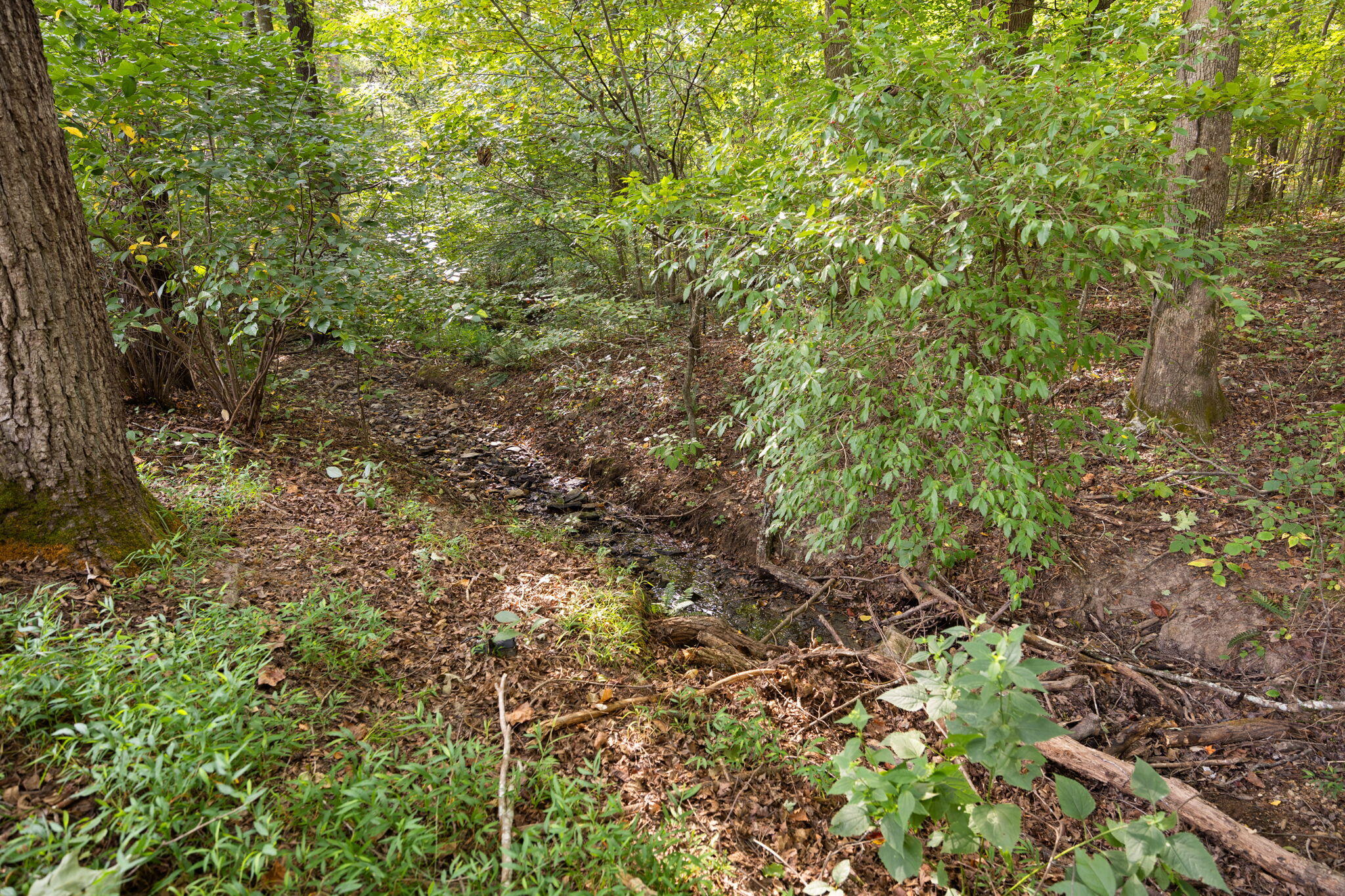 90 Little Lisa Lane Property Photo 49