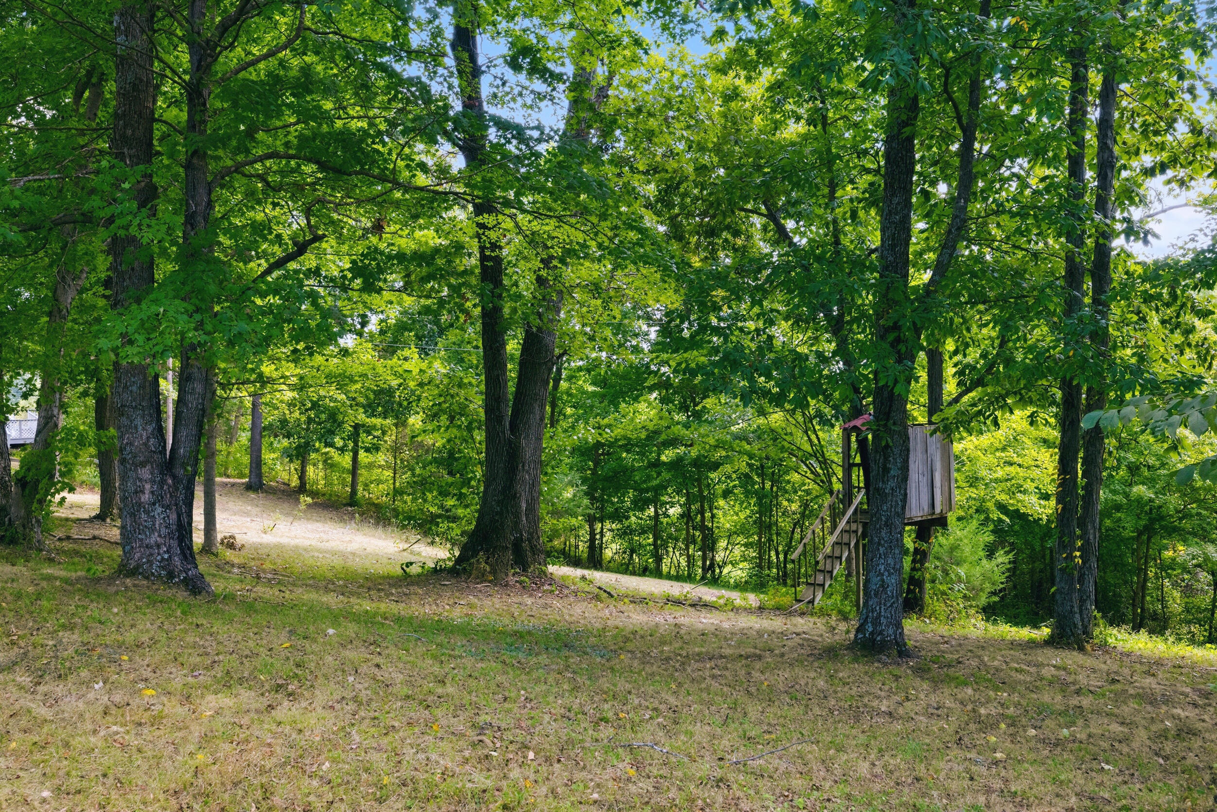 1577 Fairview Road Property Photo 35