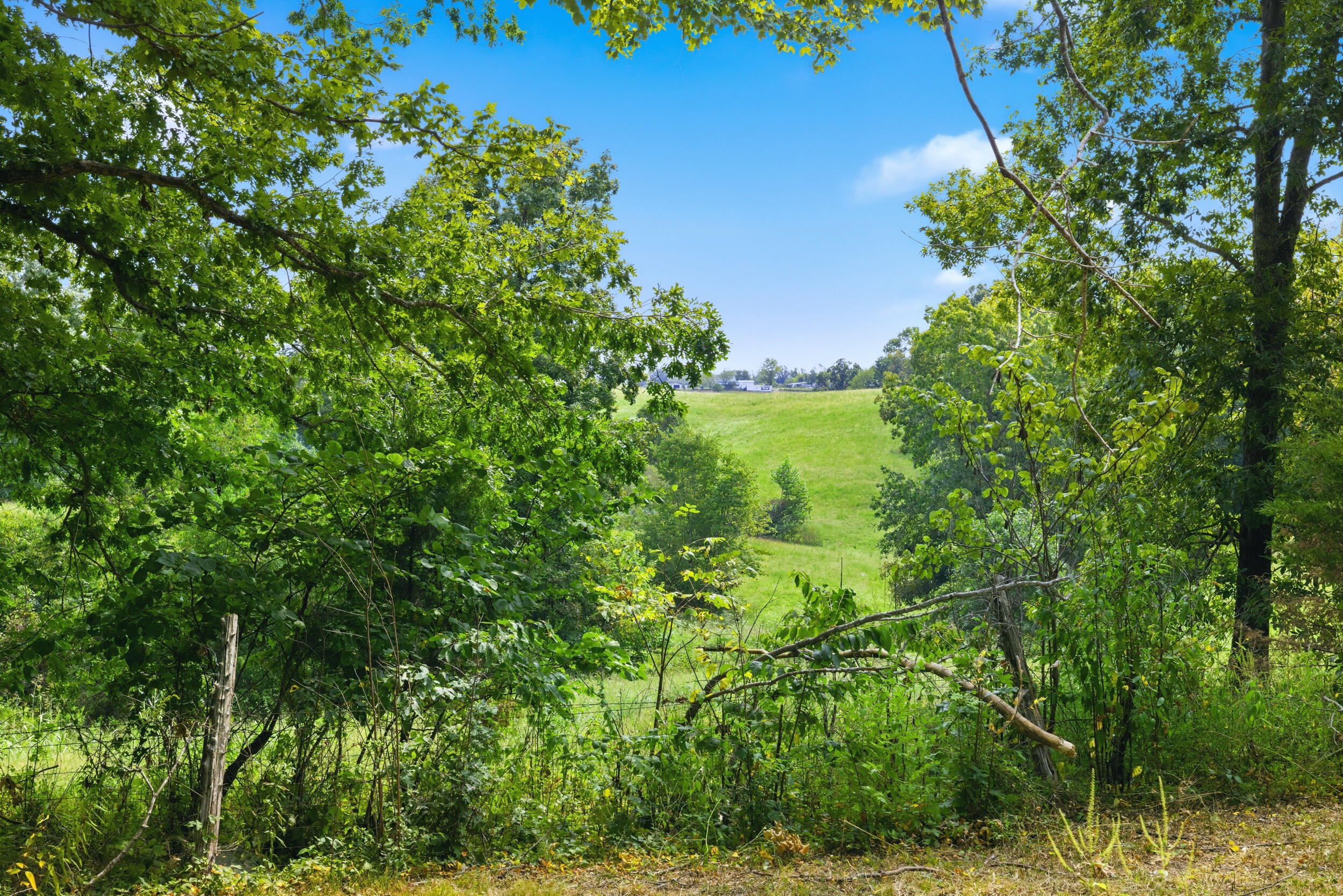 1577 Fairview Road Property Photo 40