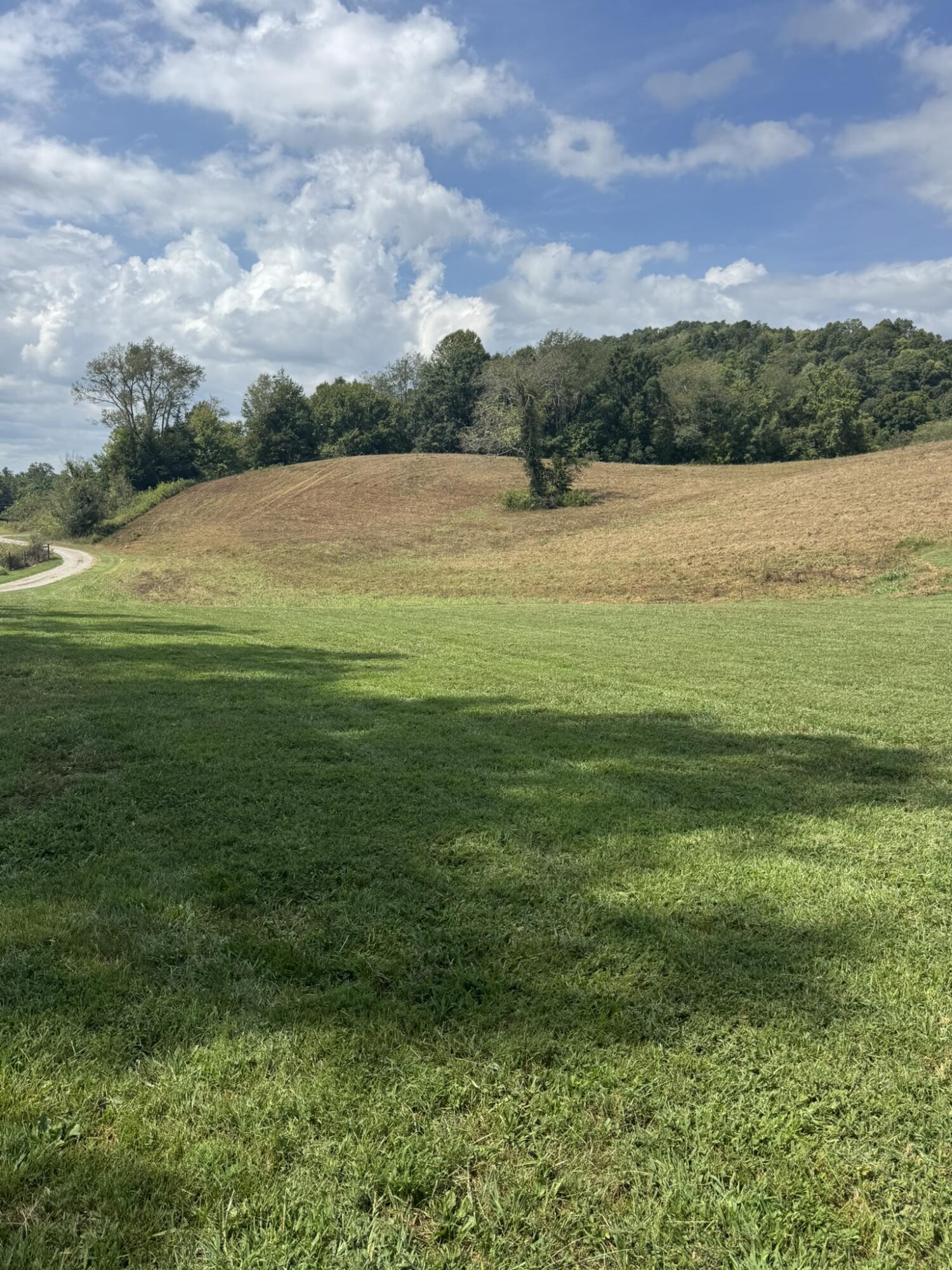 108 Bakerton Road Property Photo 5