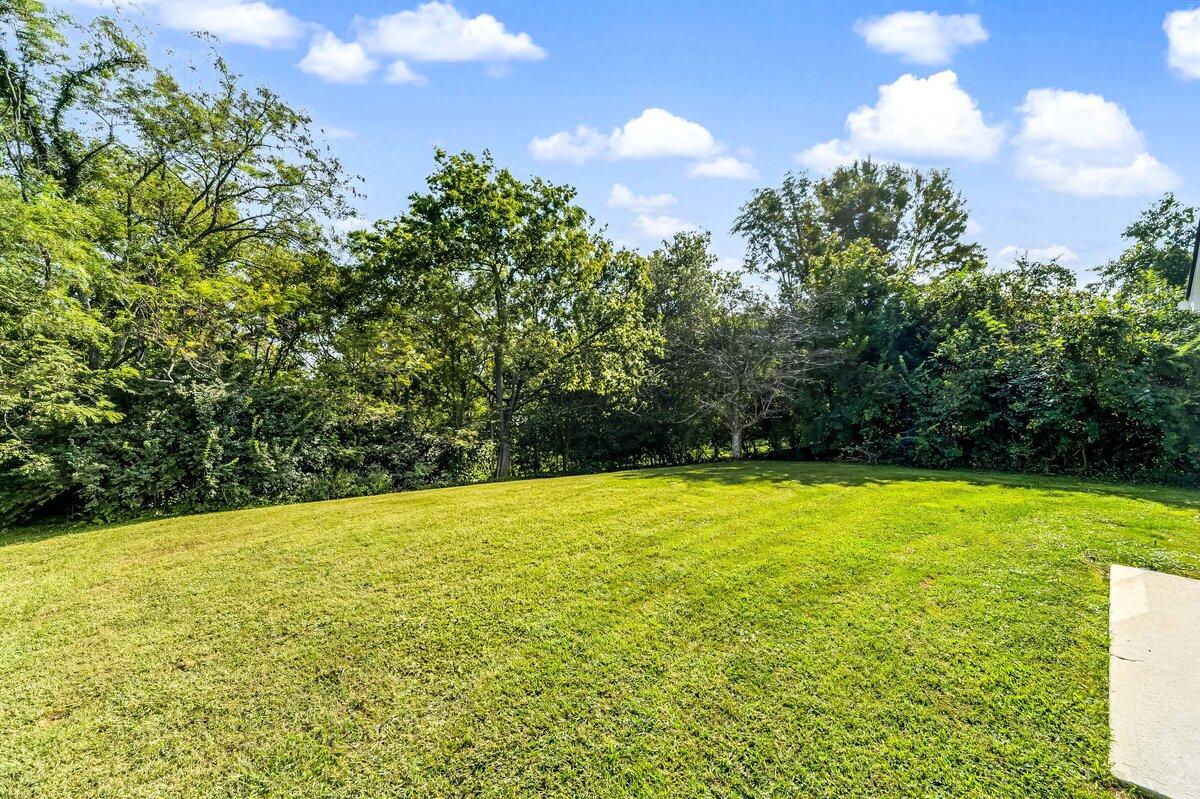 154 Primrose Circle Property Photo 41
