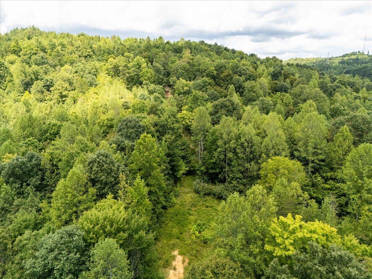 0000 Aker Holt Road Property Photo 17