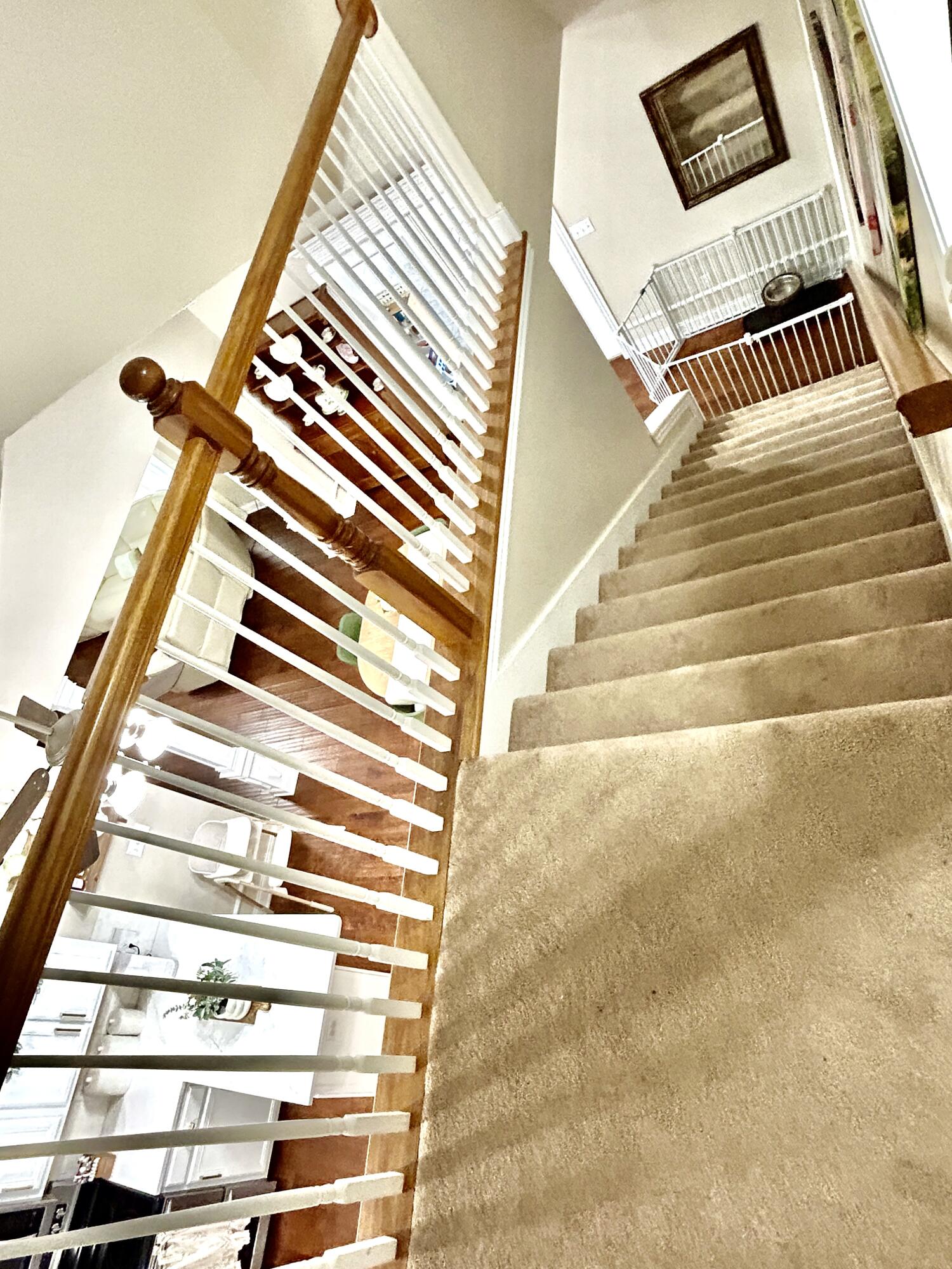 254 Observation Pointe Drive Property Photo 47