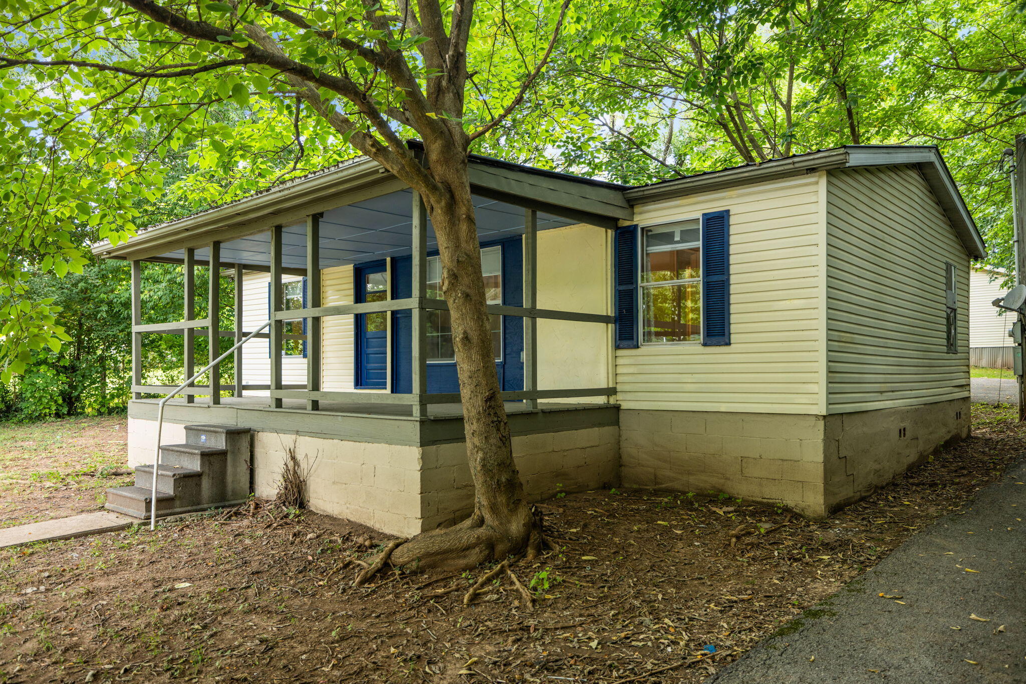 227 Jameson Street Property Photo 28