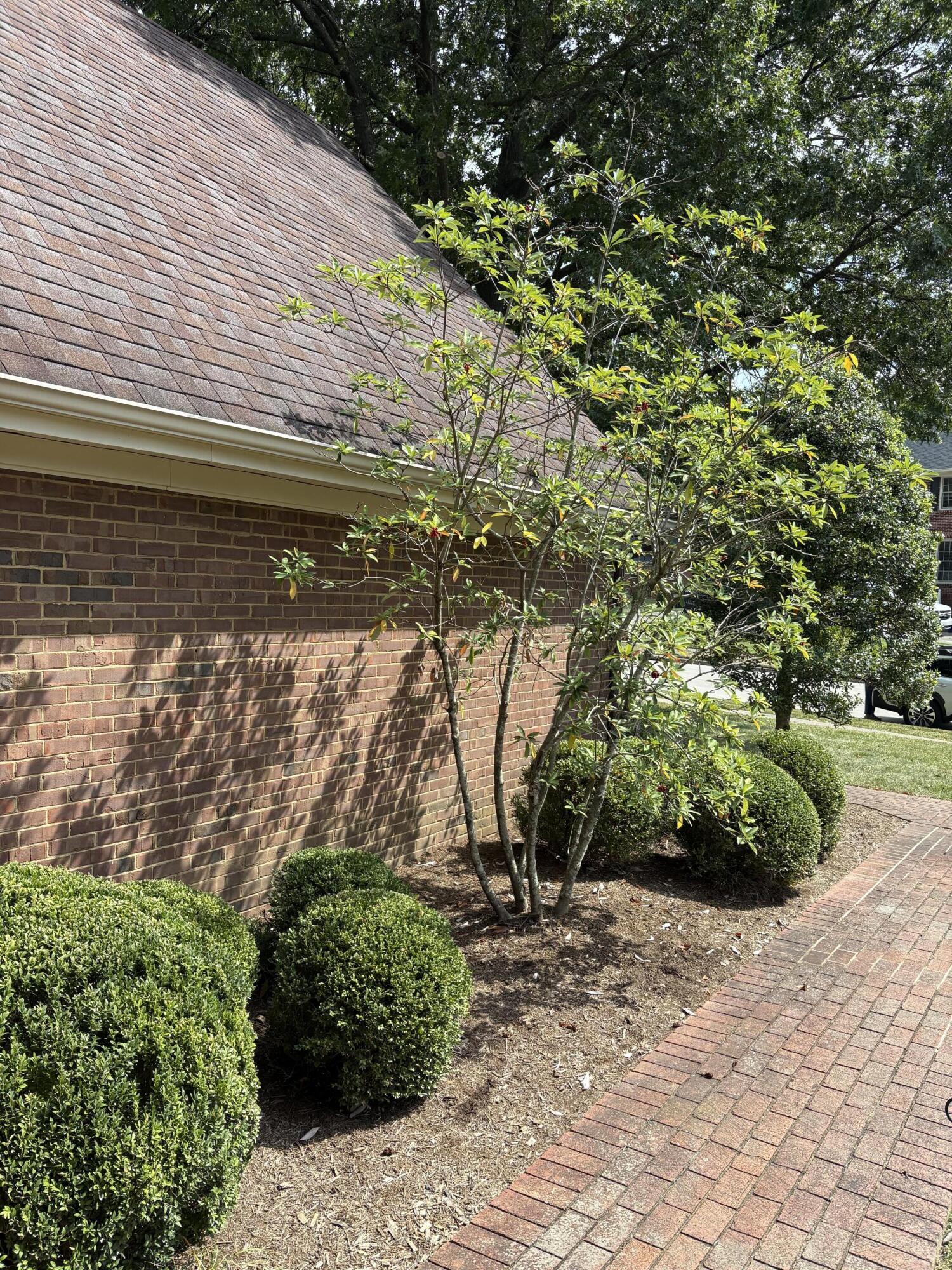 2117 Broadhead Place Property Photo 12