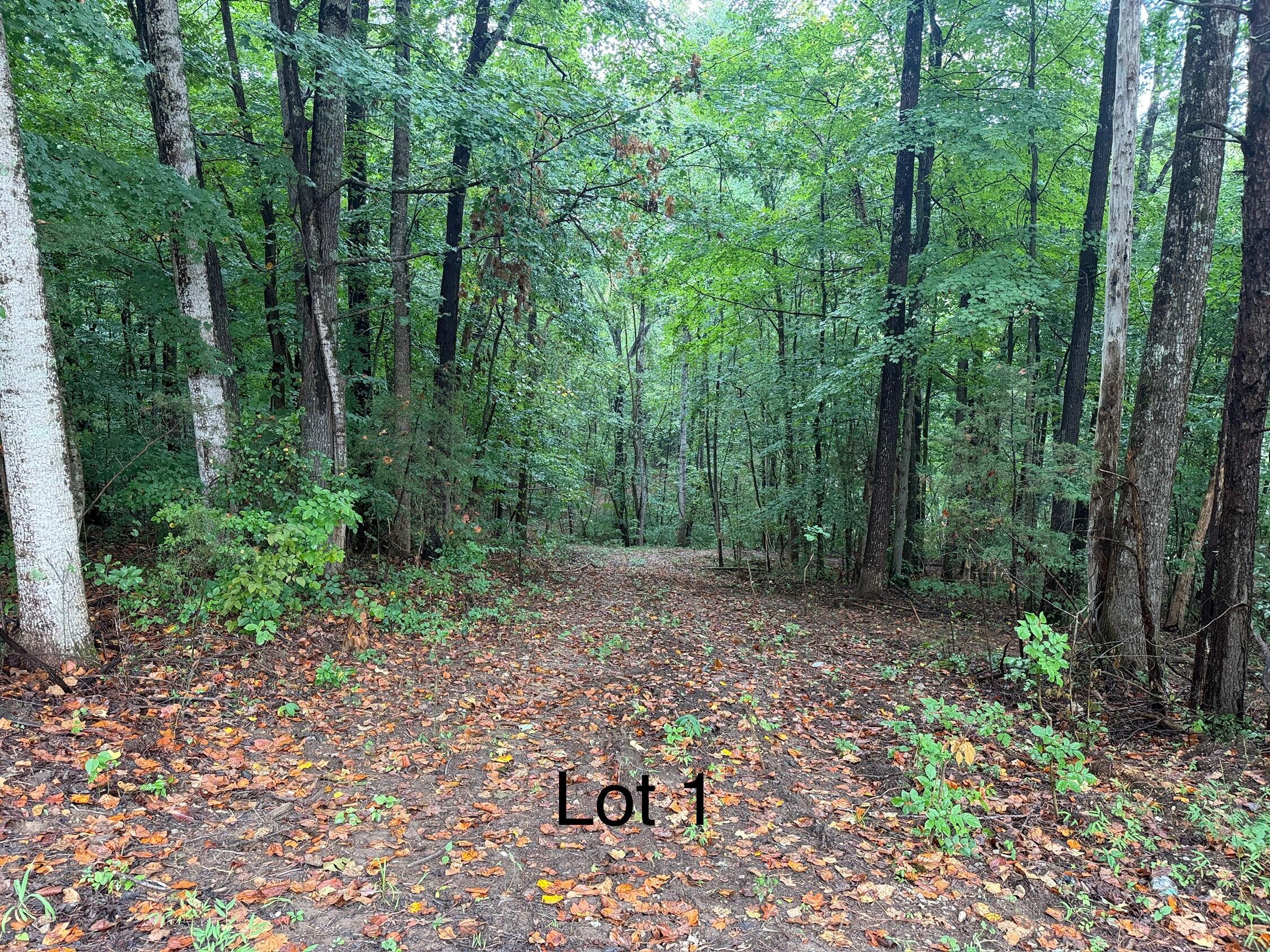 5664 Ky-1546 Lot 1 Property Photo 1
