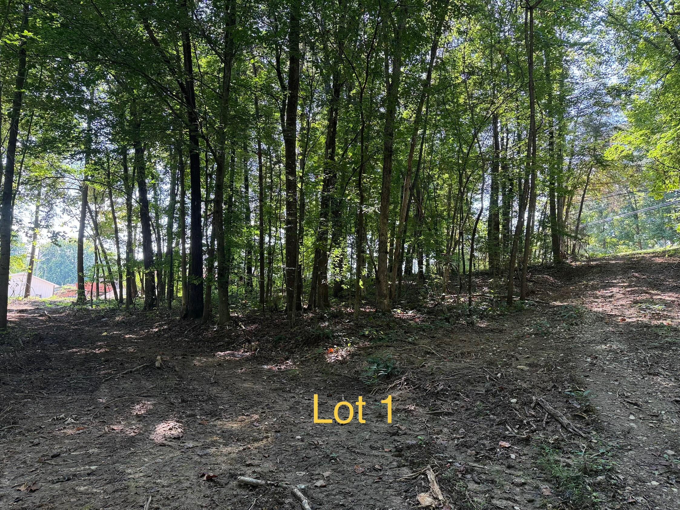 5664 Ky-1546 Lot 1 Property Photo 3