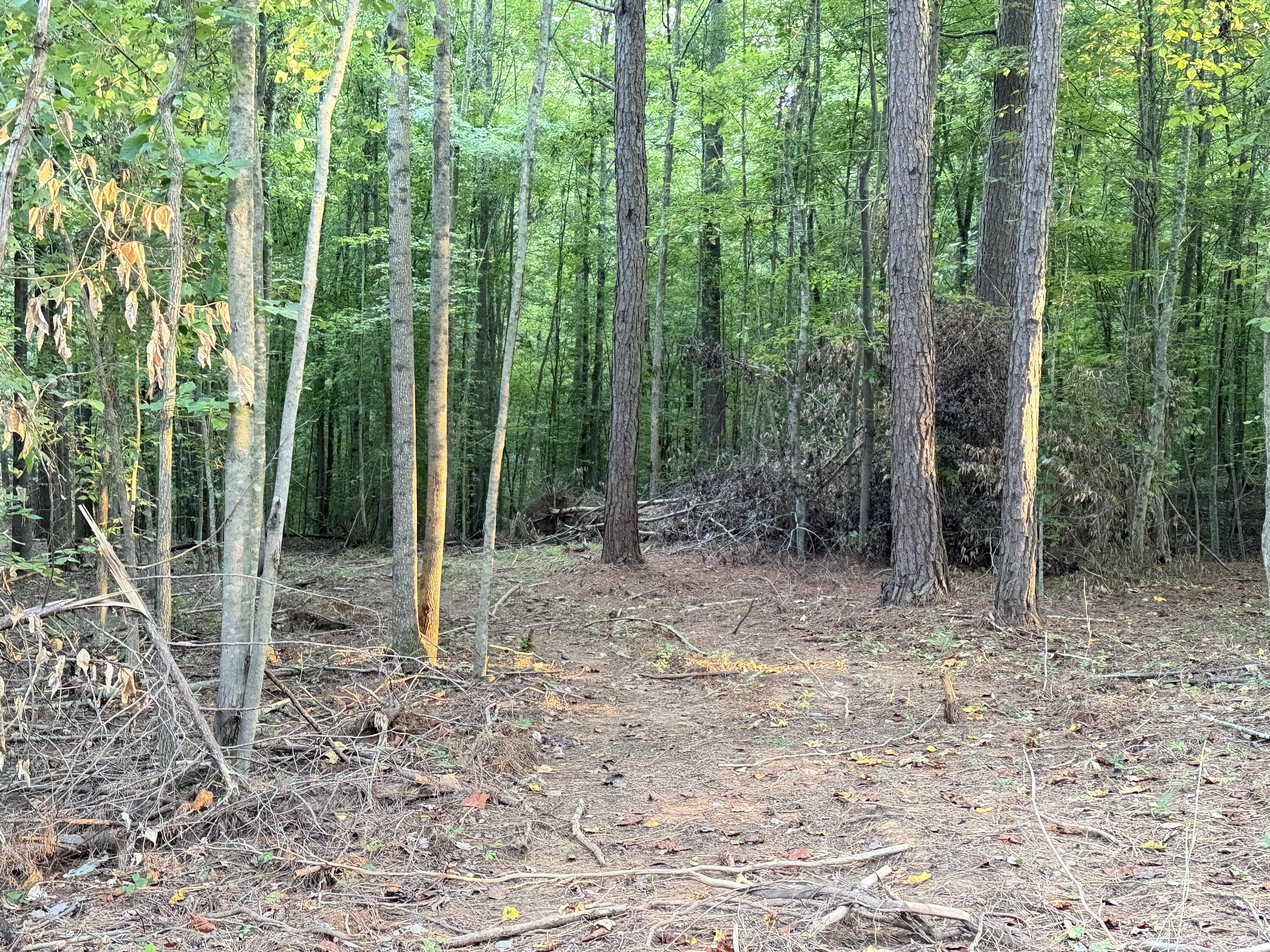 5664 Ky-1546 Lots 6 Property Photo 1