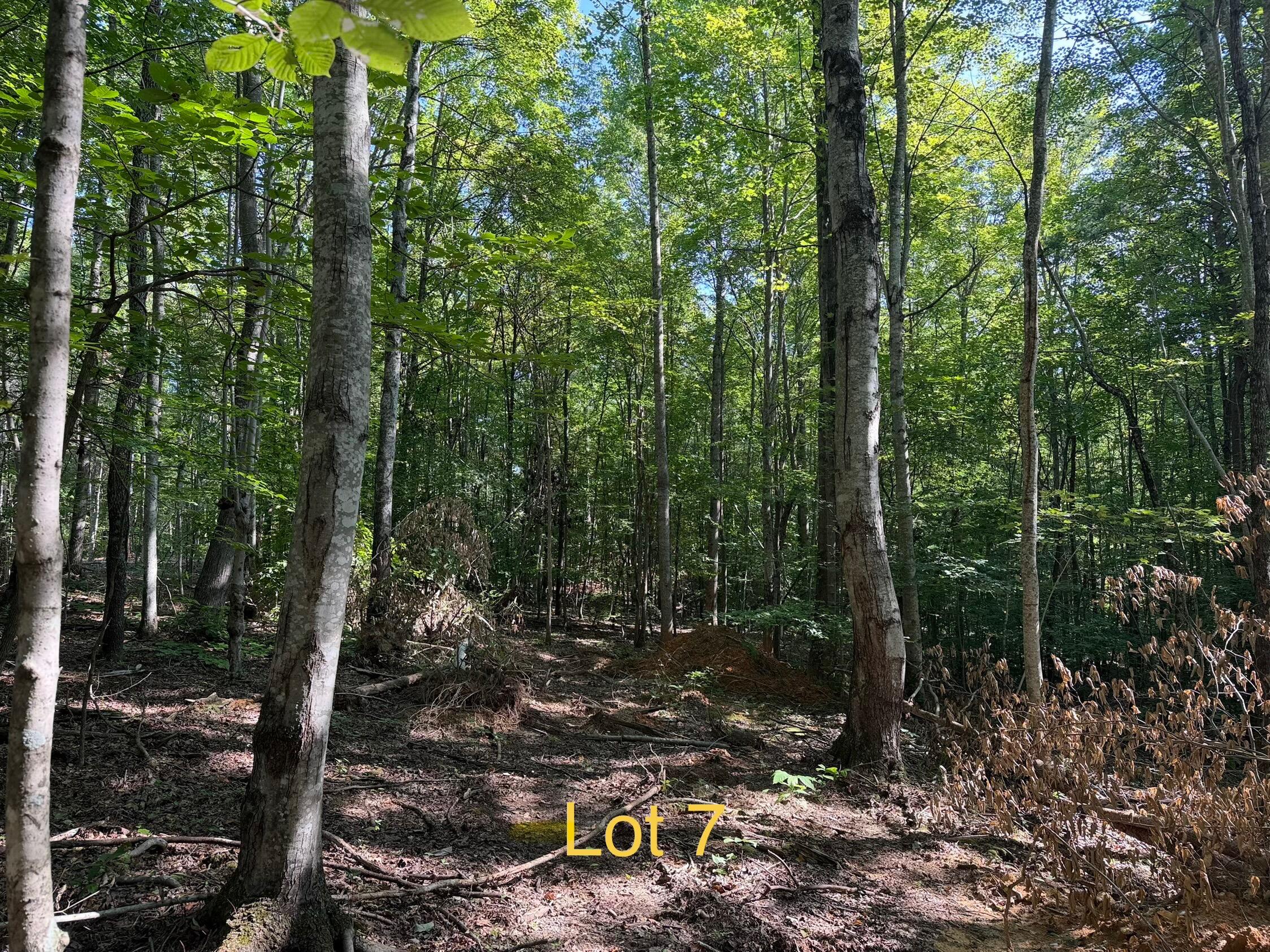 5664 Ky-1546 Lot 7 Property Photo 3
