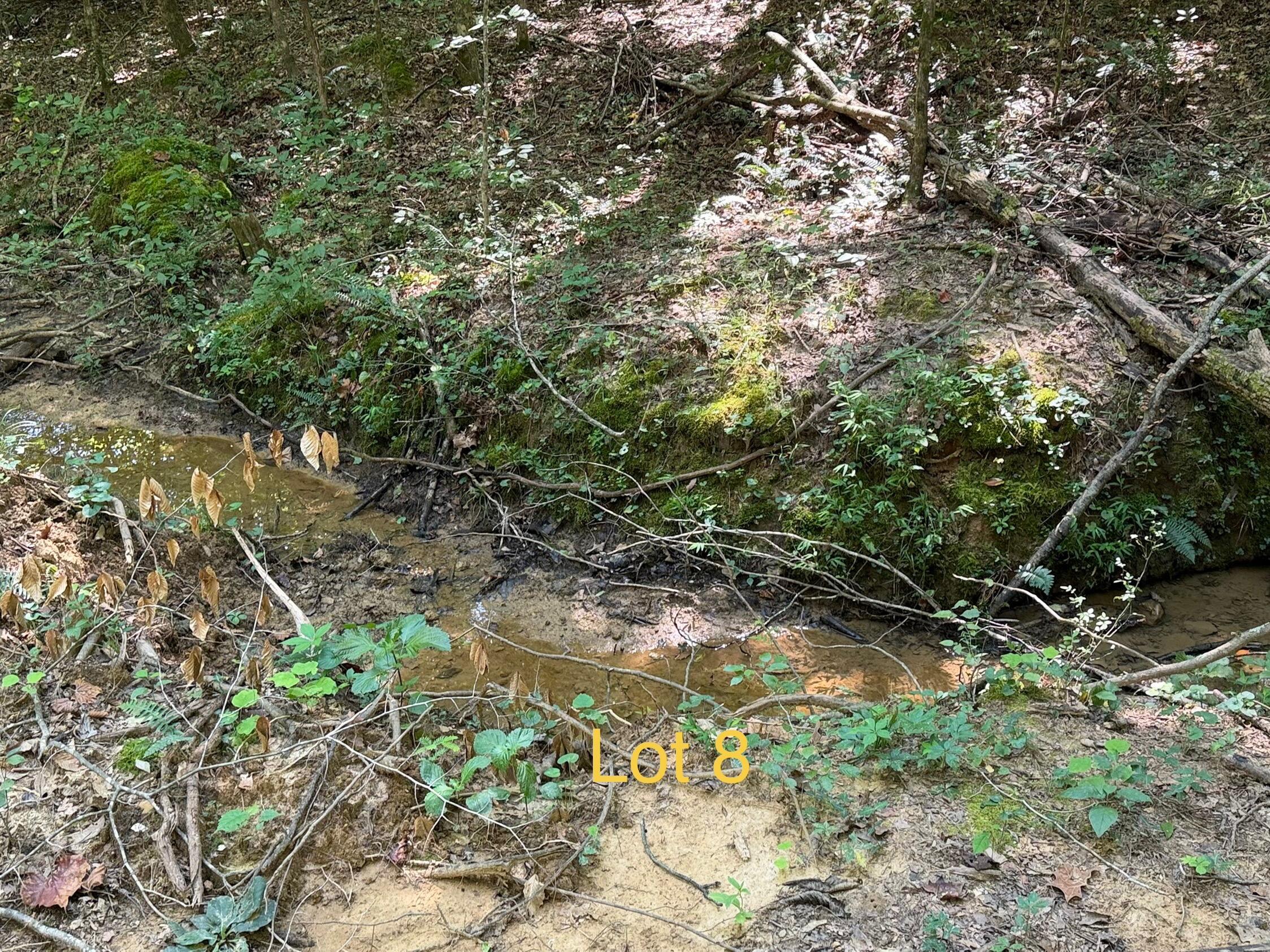 5664 Ky-1546 Lot 8 Property Photo 3