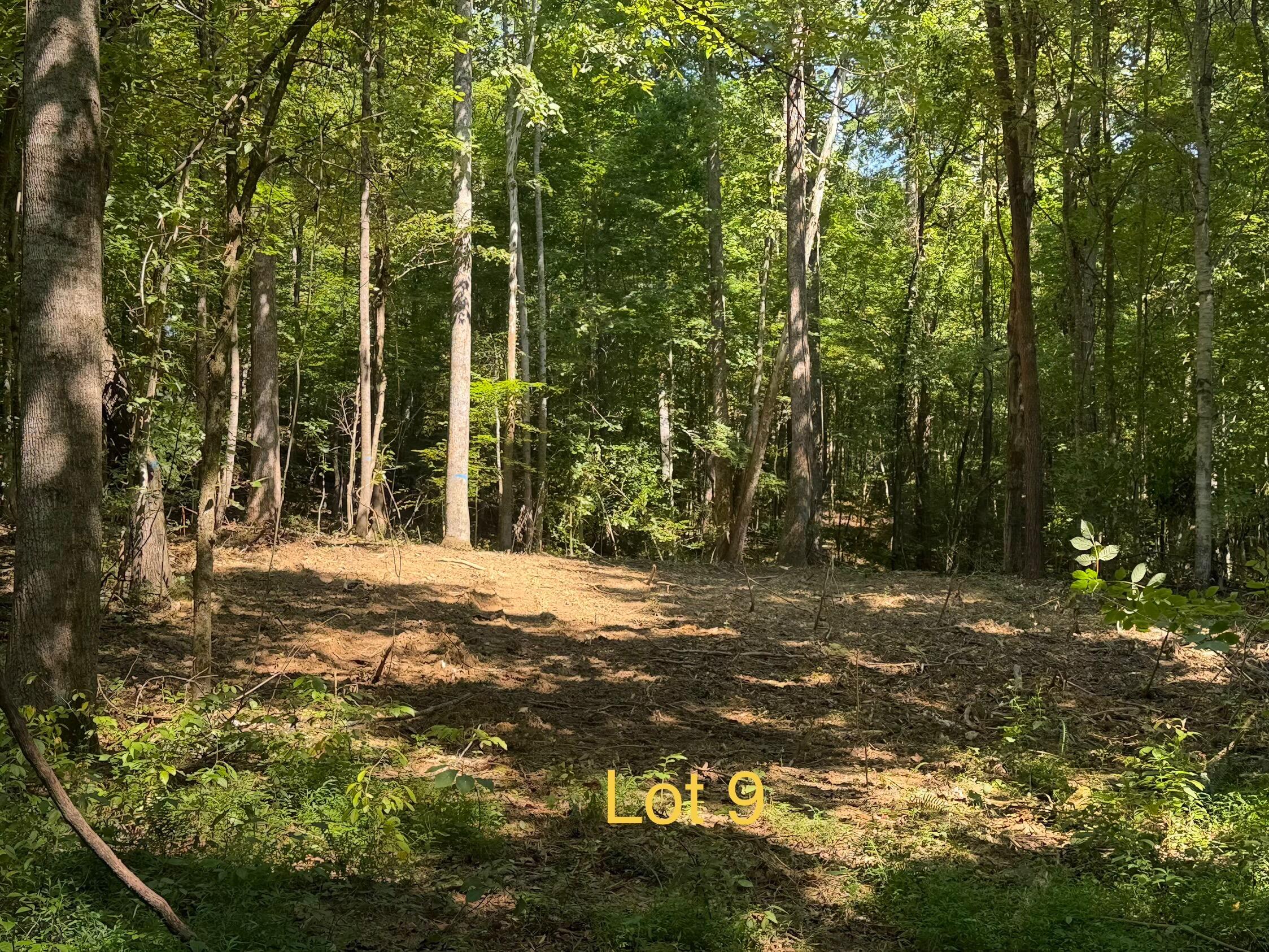 5664 Ky-1546 Lot 9 Property Photo 1