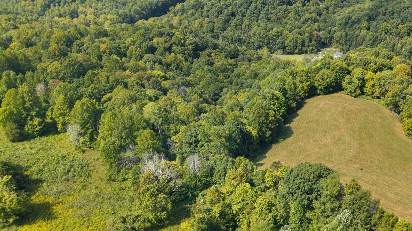 7 Snow Road Property Photo 10