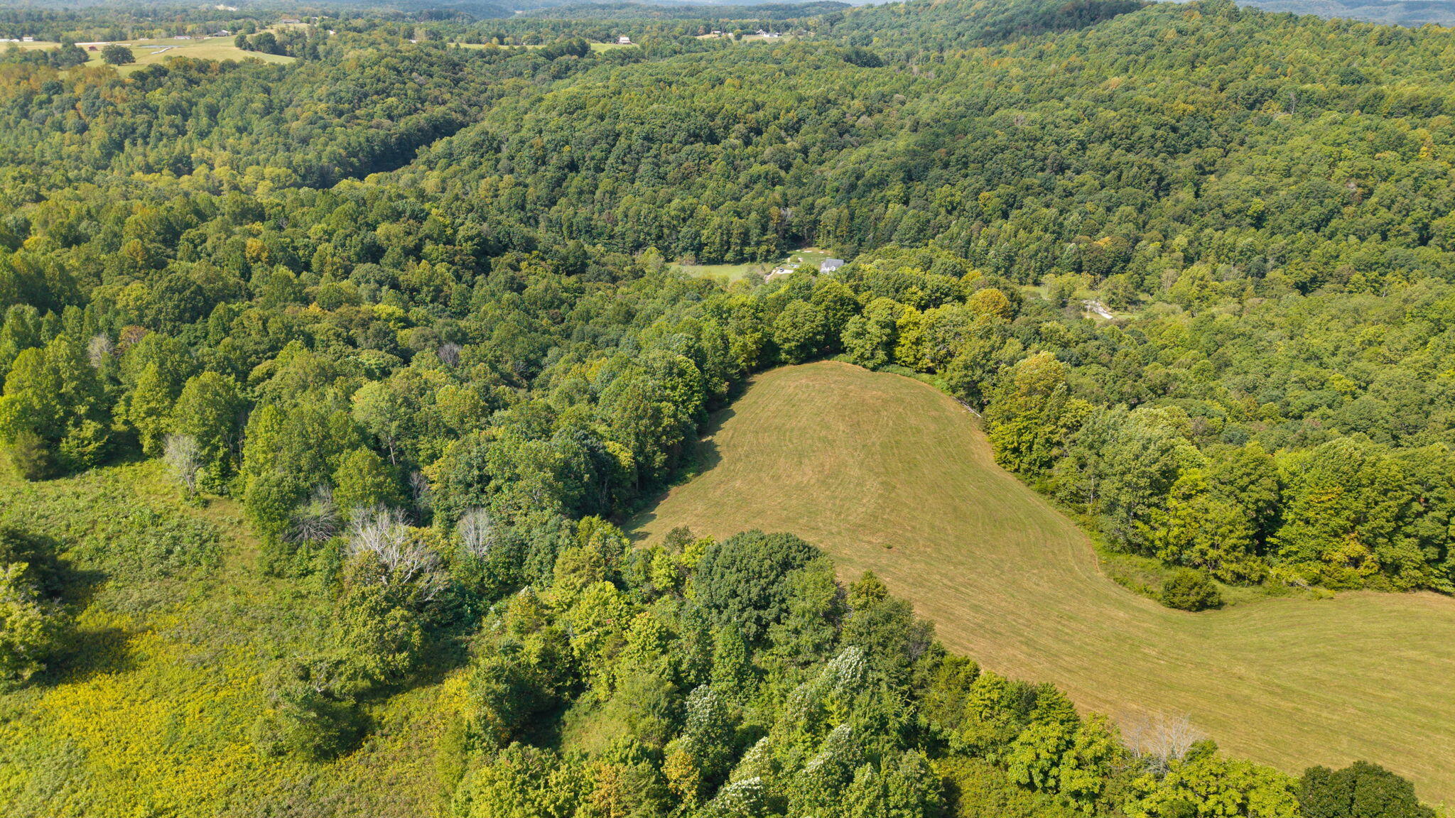 720 Snow Road Property Photo 5
