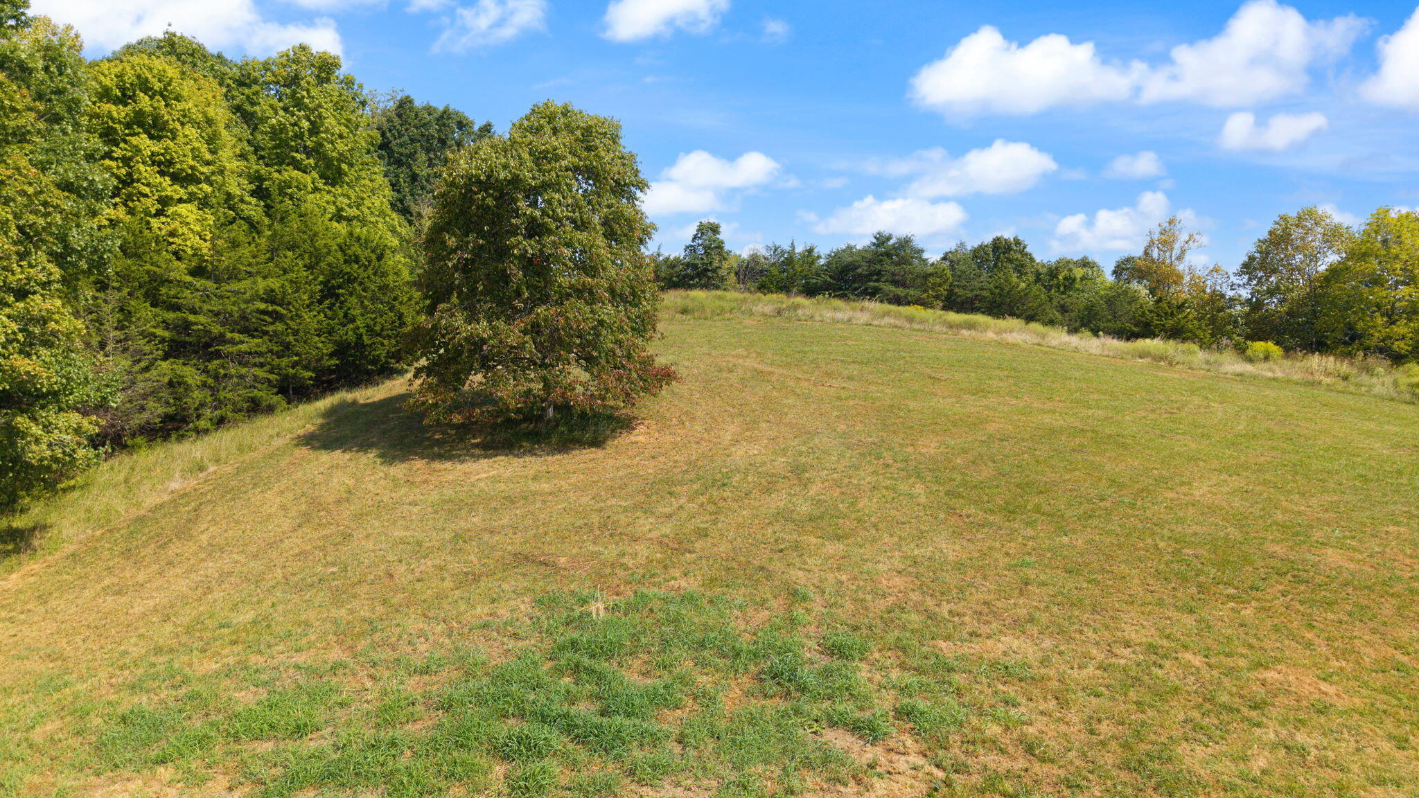 720 Snow Road Property Photo 11