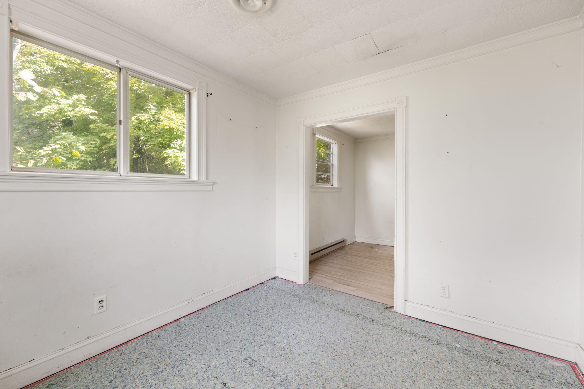 80 Pine Tree Drive Property Photo 33