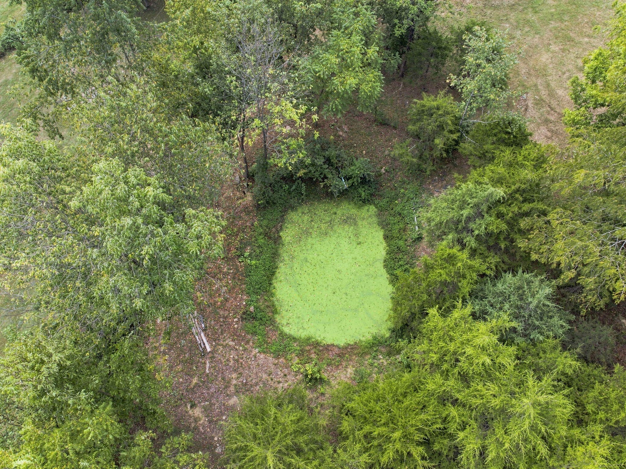 1691 Kentucky Hwy 1842 Property Photo 43