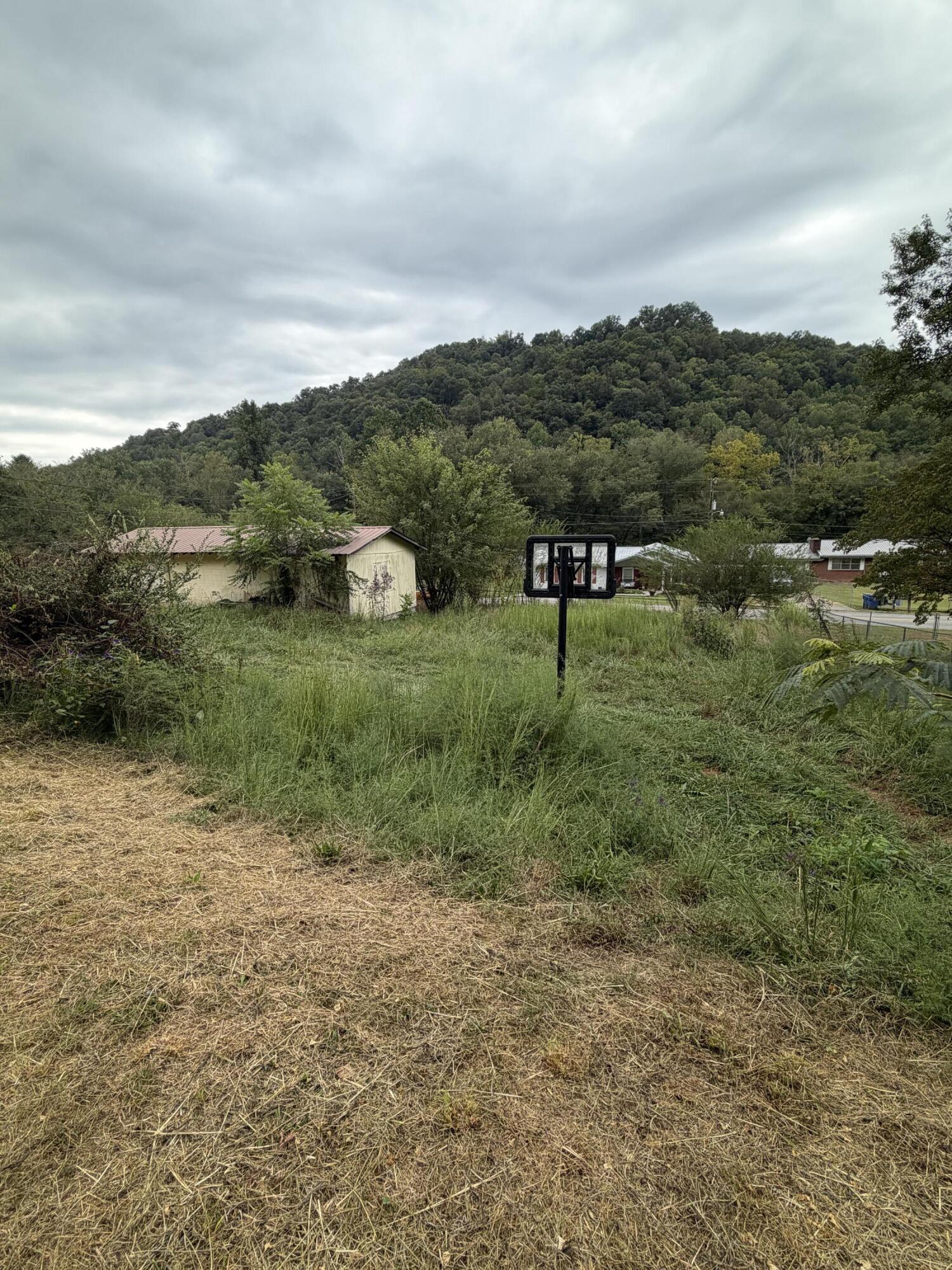 9845 Highway 987 Brownies Creek Road Property Photo 9