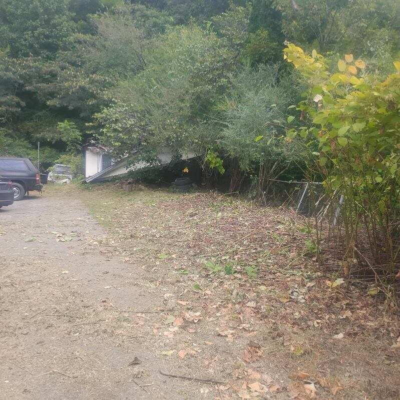 9845 Highway 987 Brownies Creek Road Property Photo 12