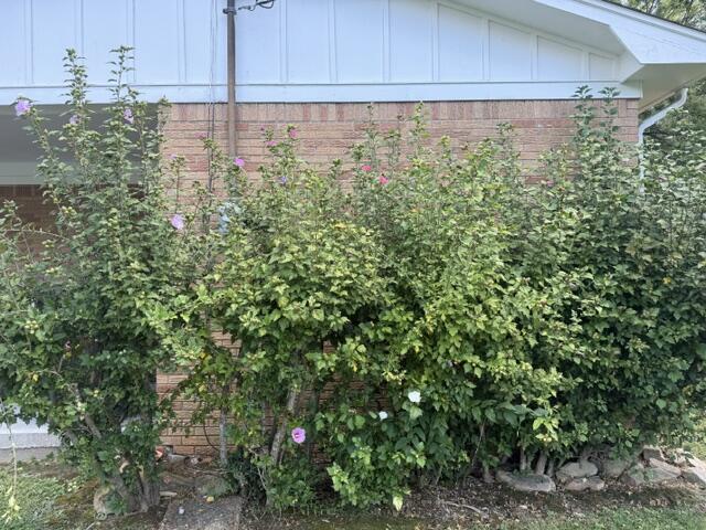 111 Park Lane Drive Property Photo 3